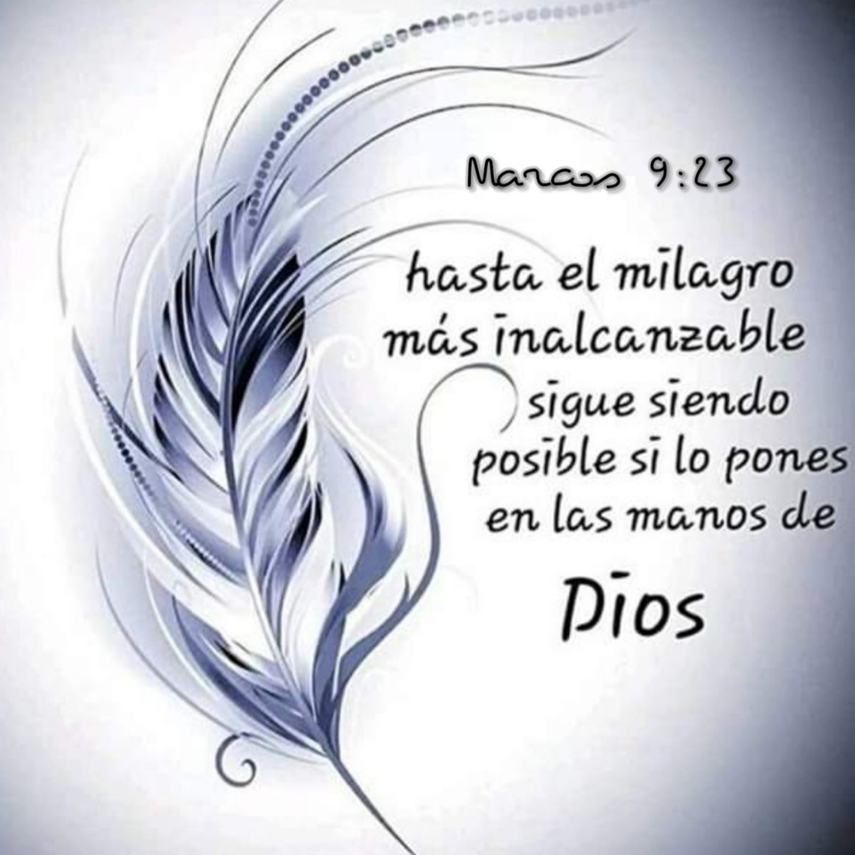 Meditaciones Diarias