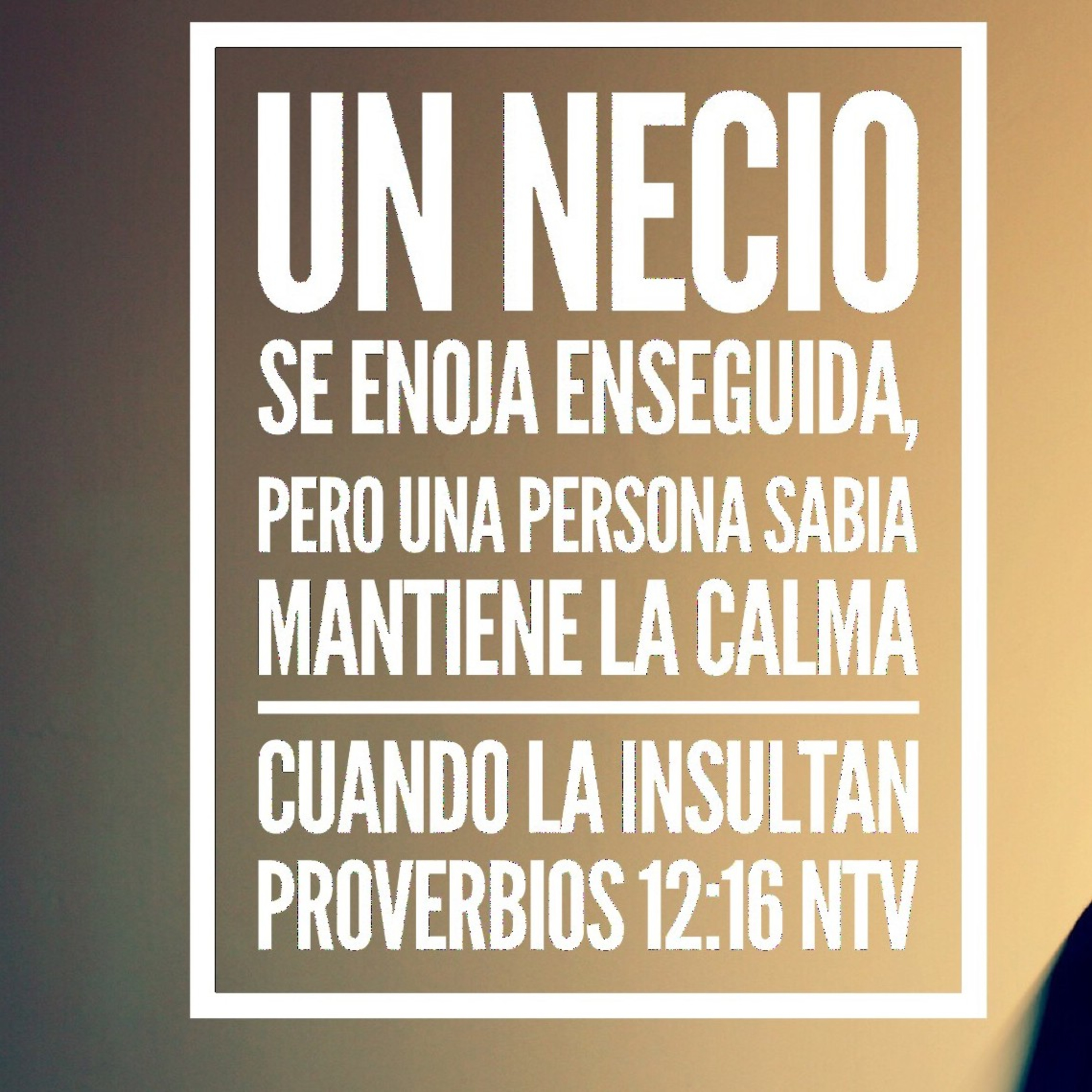 Meditaciones Diarias