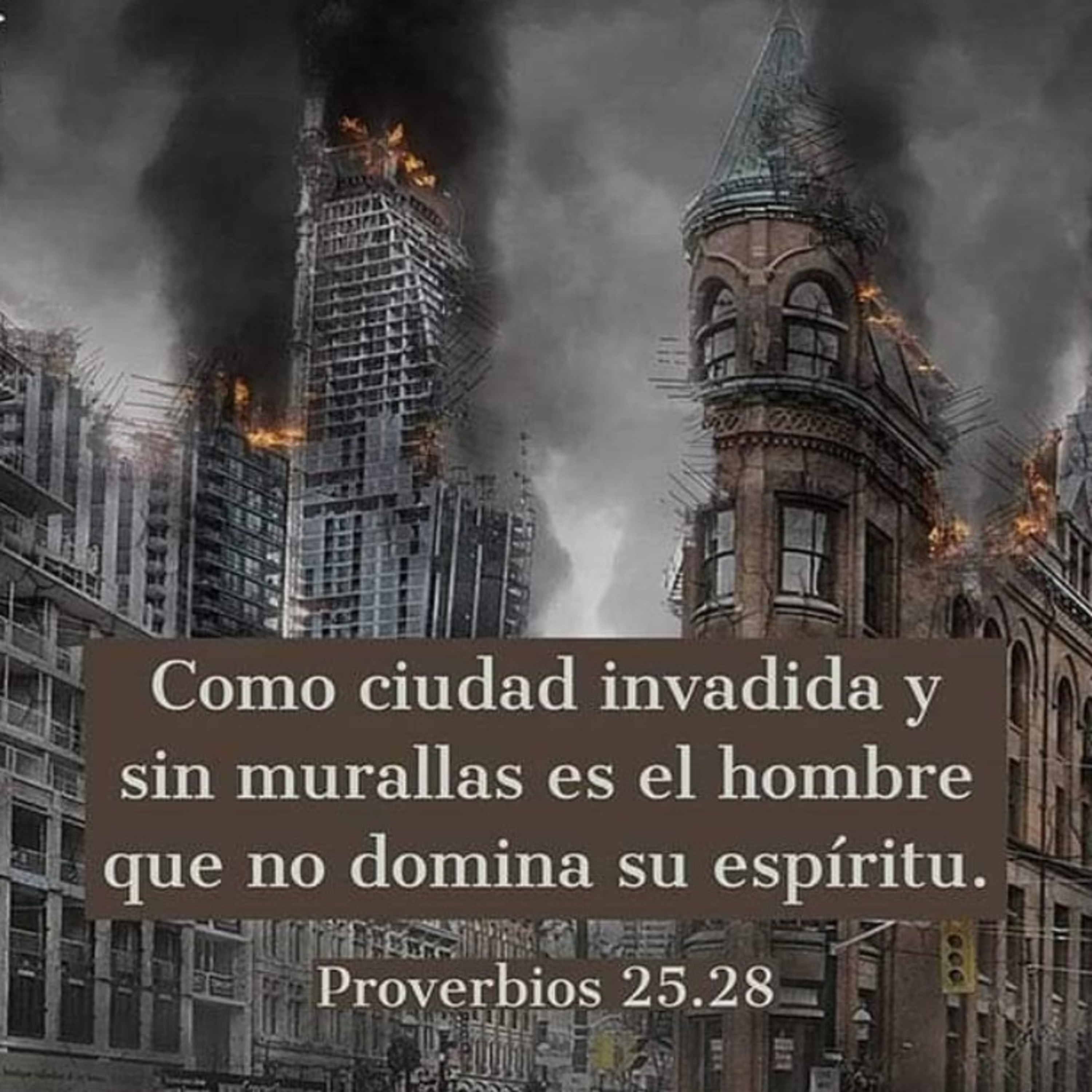 Meditaciones Diarias