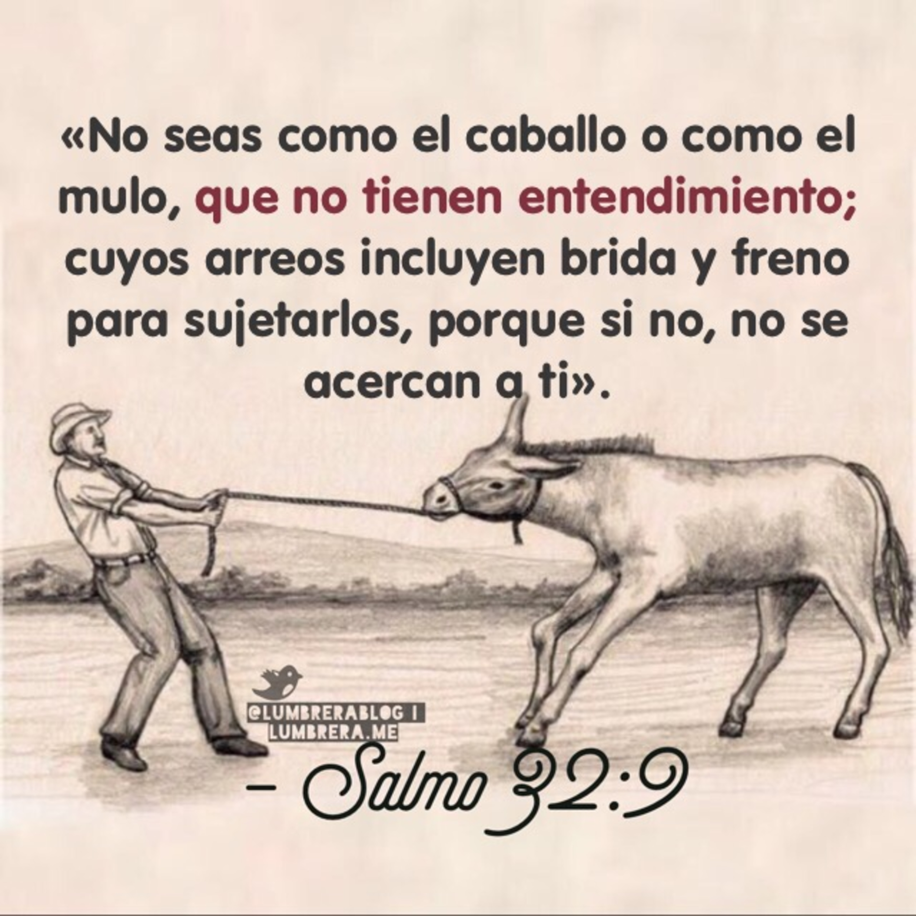Meditaciones Diarias