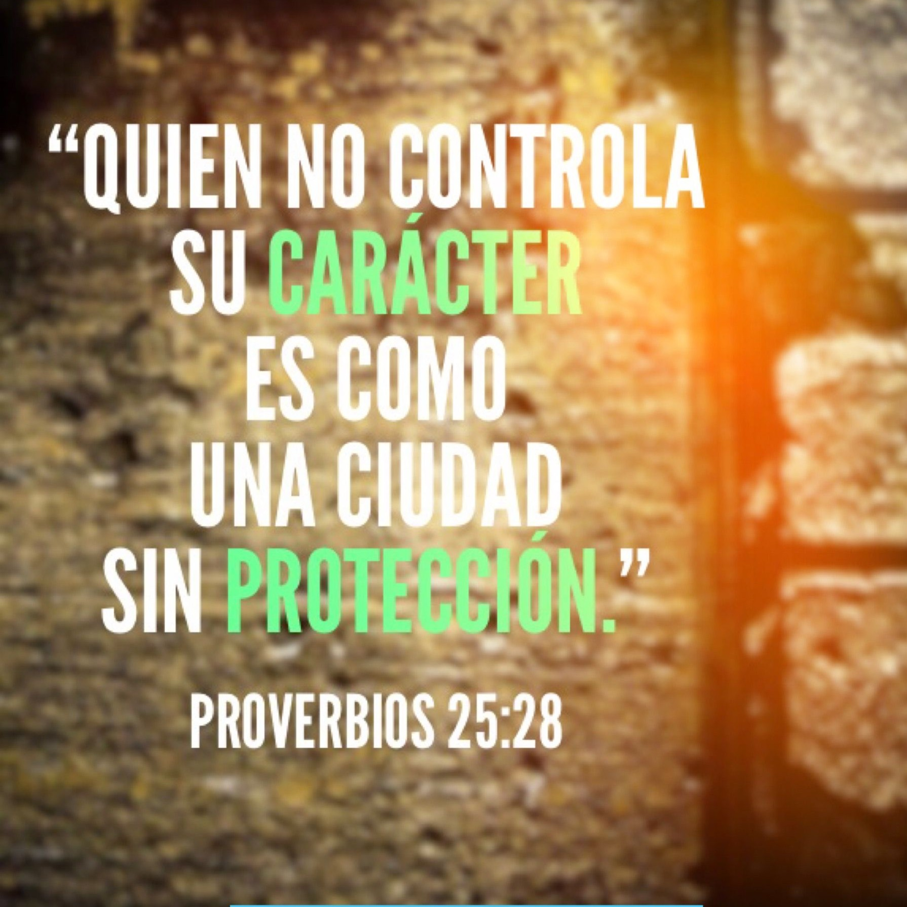 Meditaciones Diarias