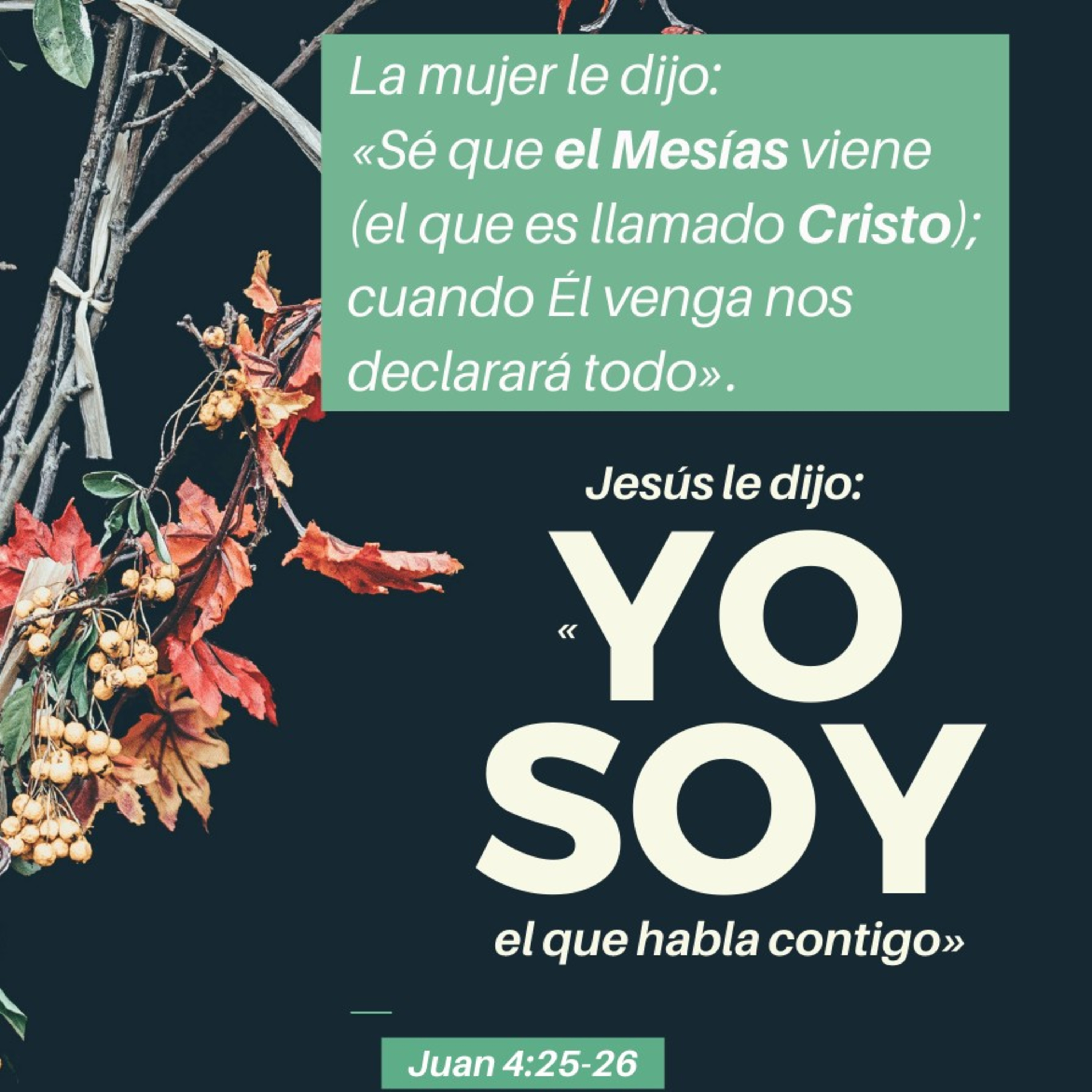 Meditaciones Diarias