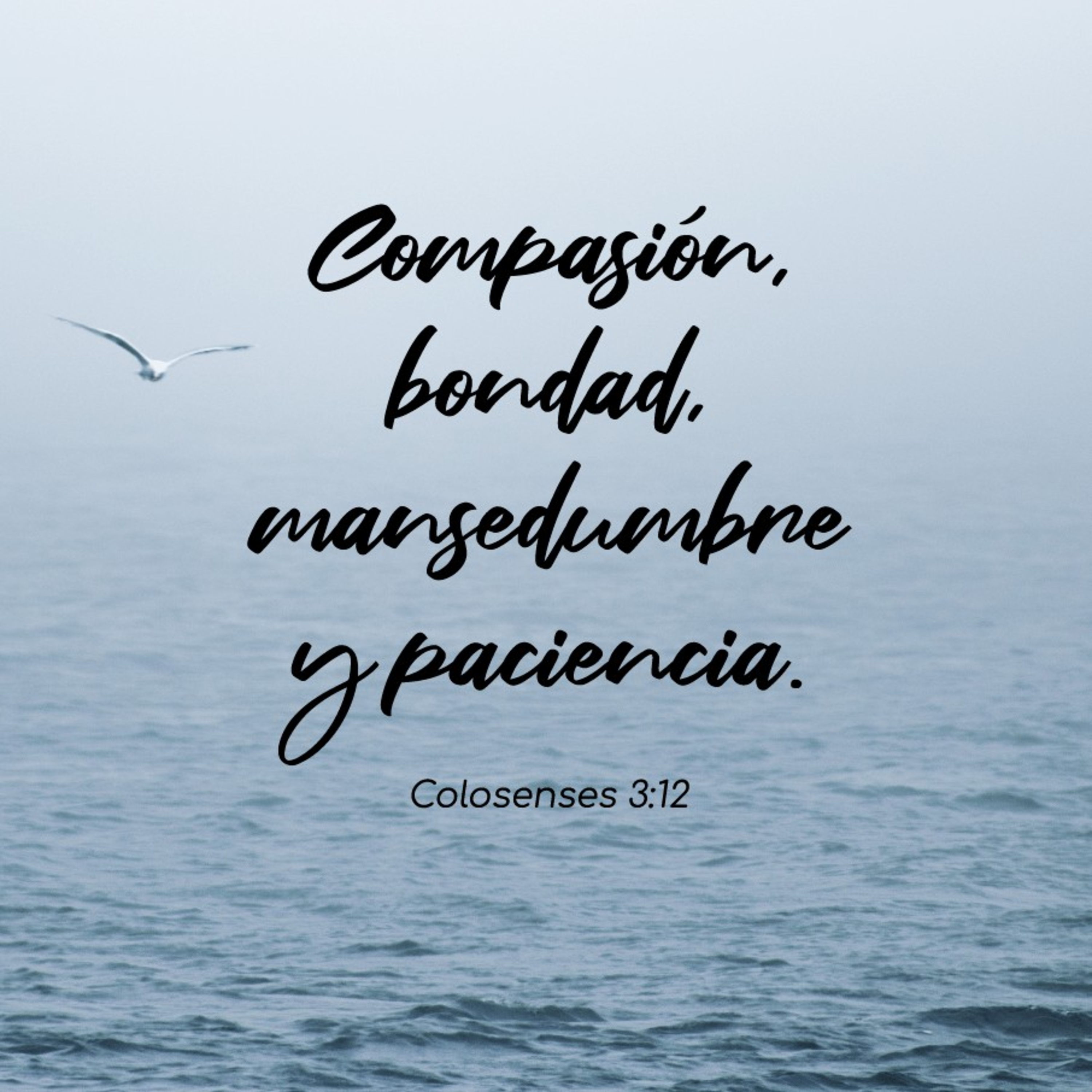 Meditaciones Diarias