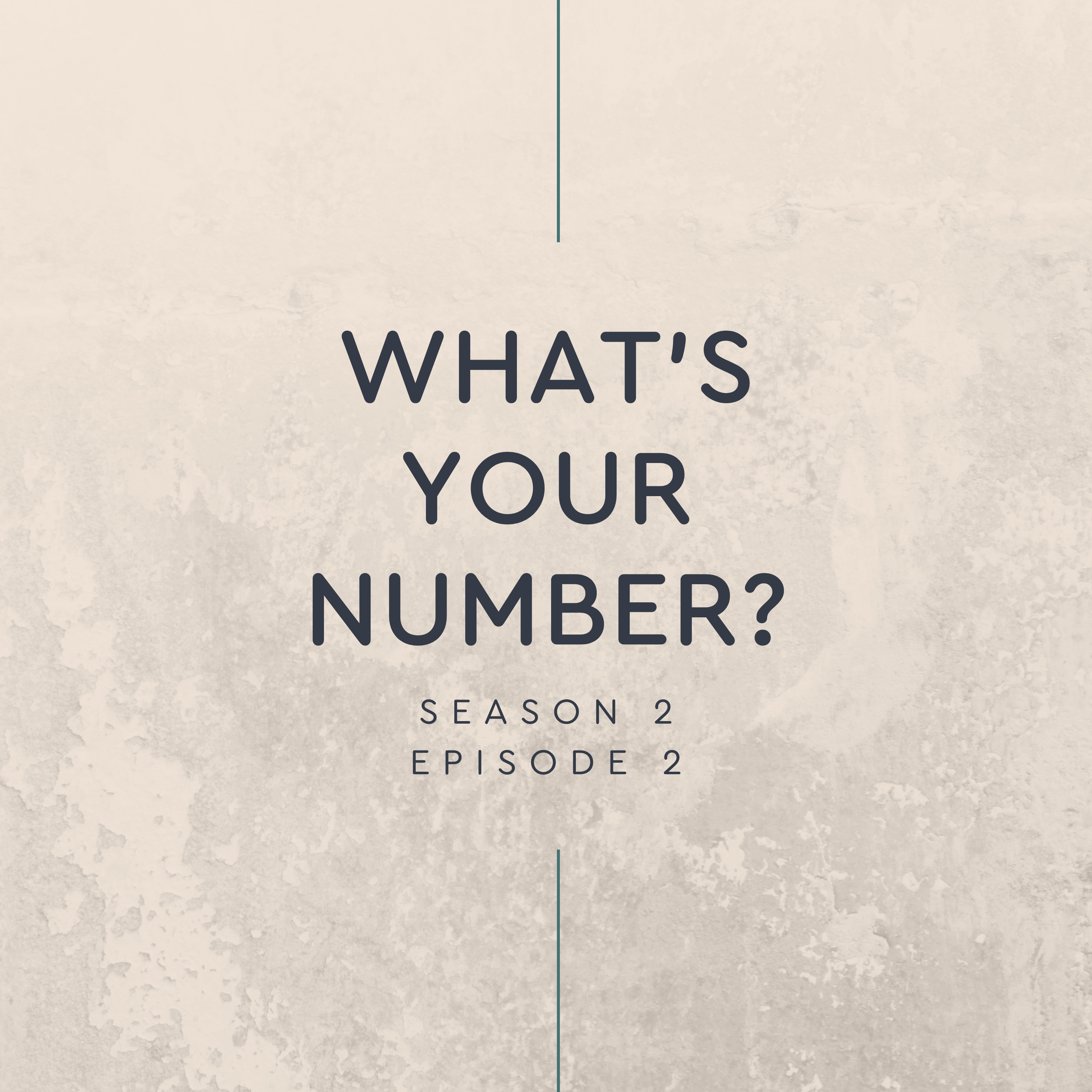 What's your number? episode artwork