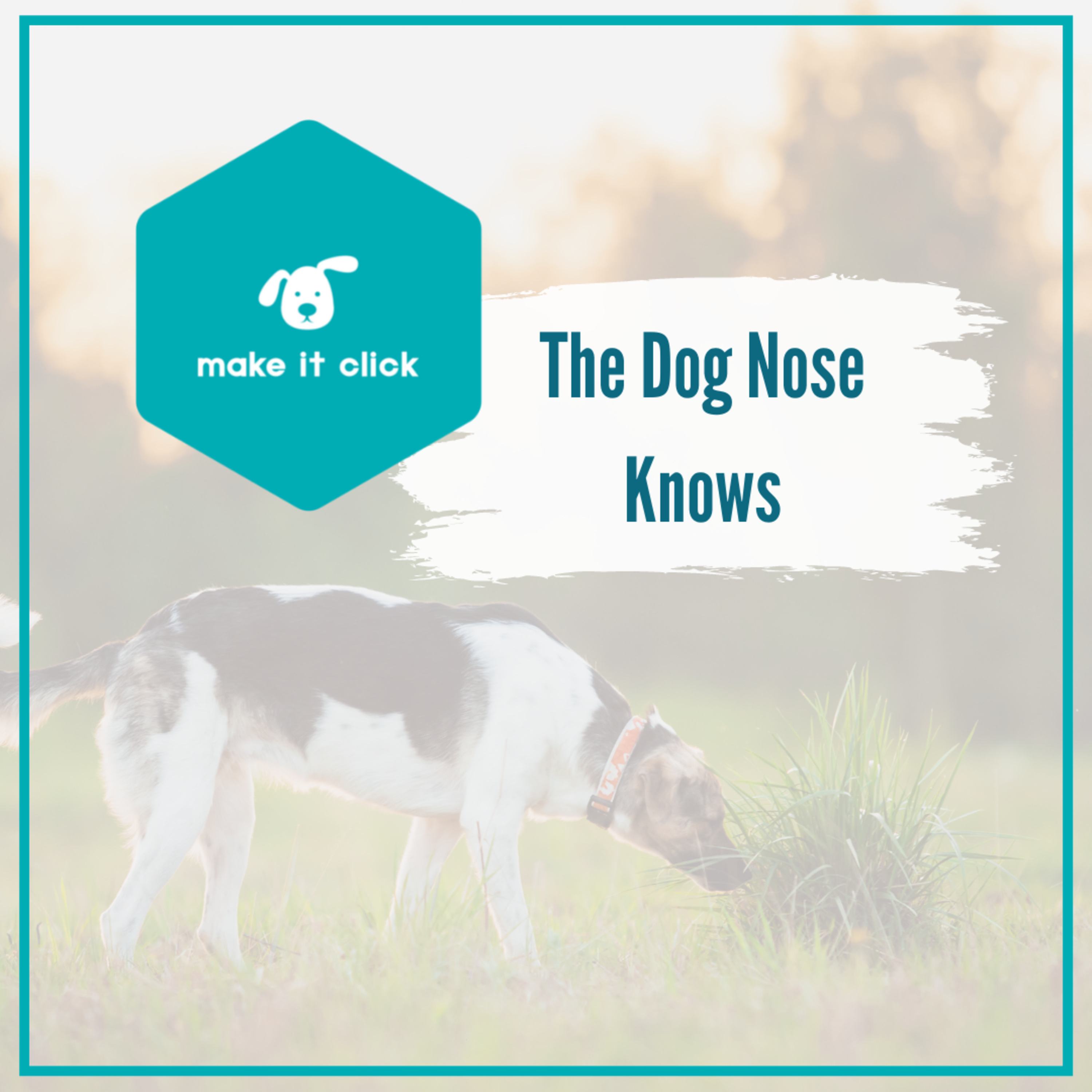 The Dog Nose Knows episode artwork