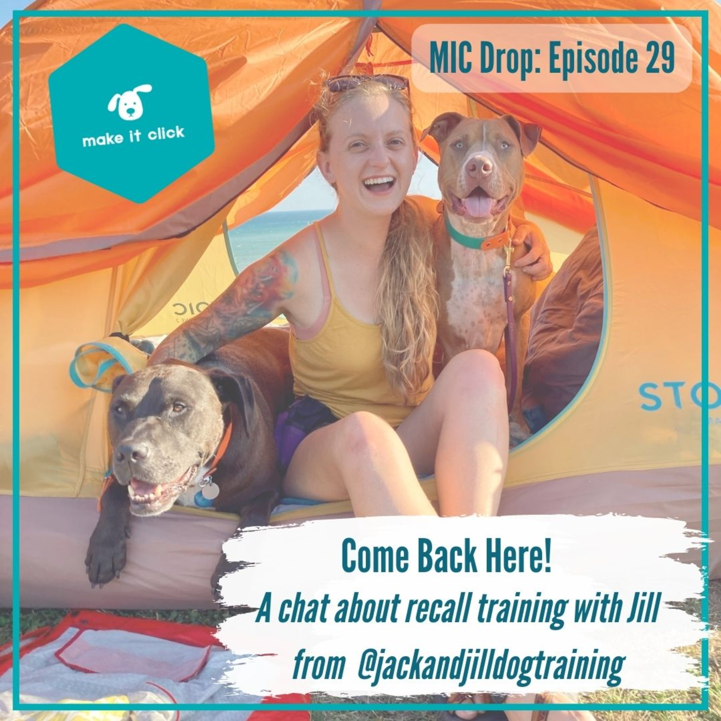 Come Back Here! Recall Training with Jill Hassevoort episode artwork