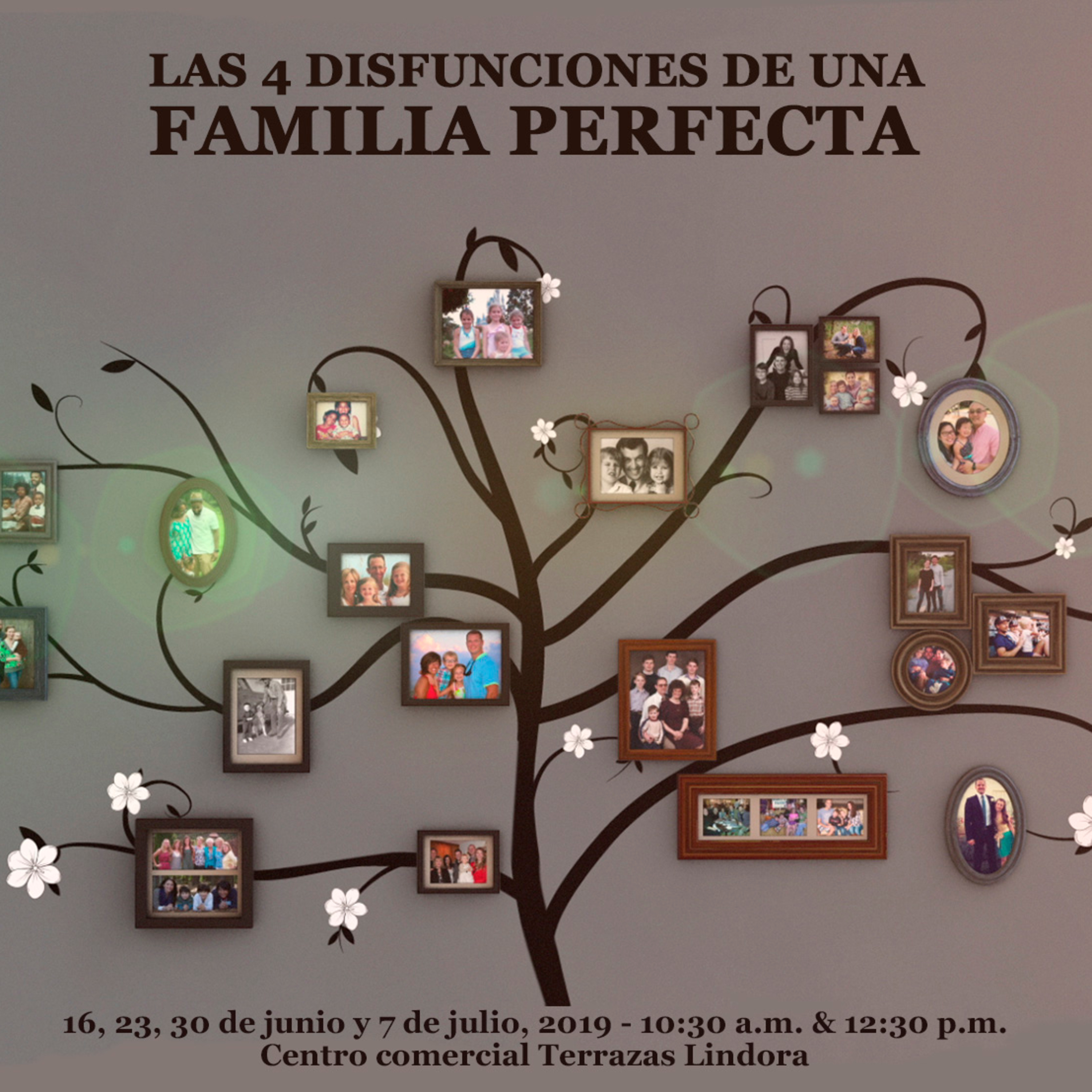 Portada de Openhouse Project