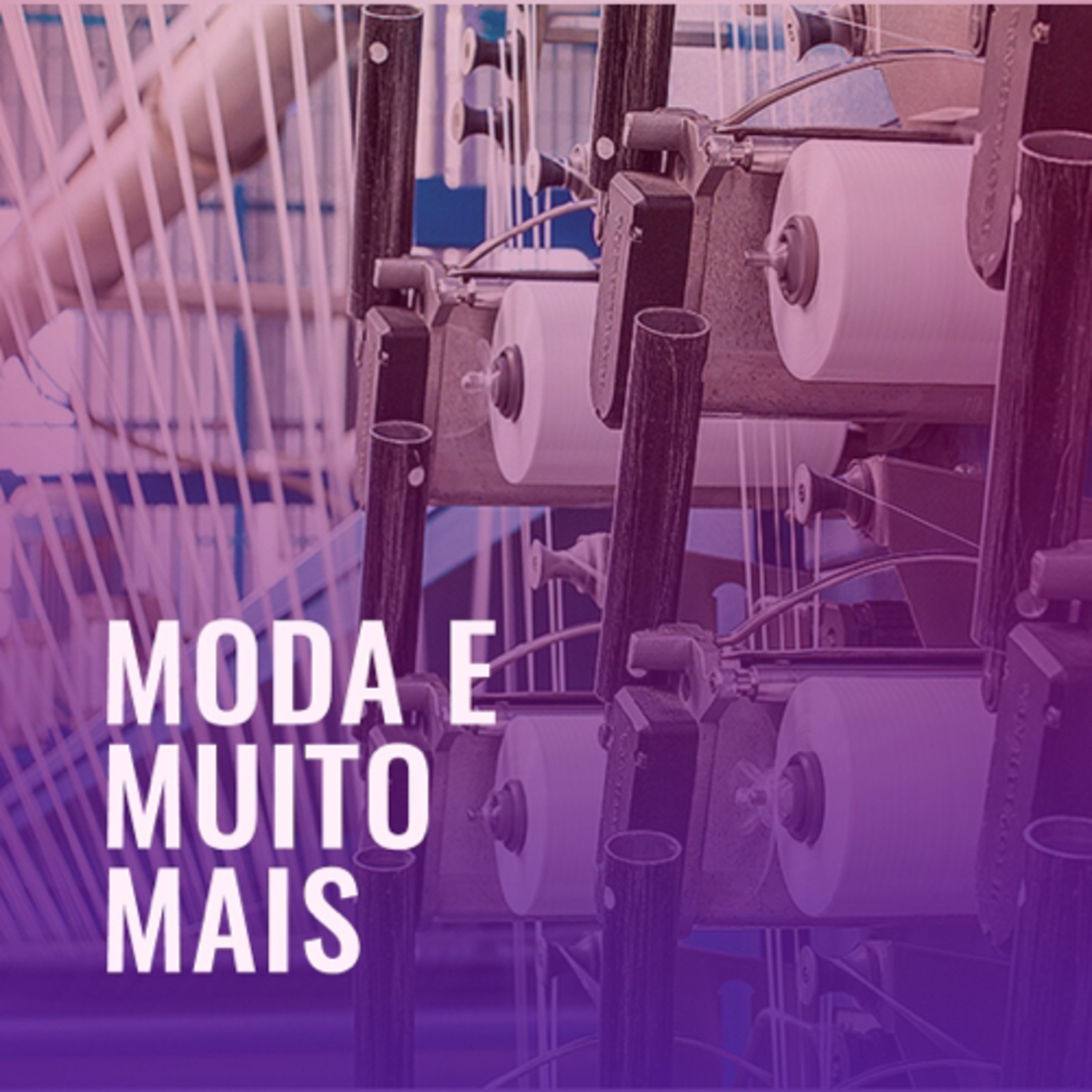 MODA E MUITO MAIS