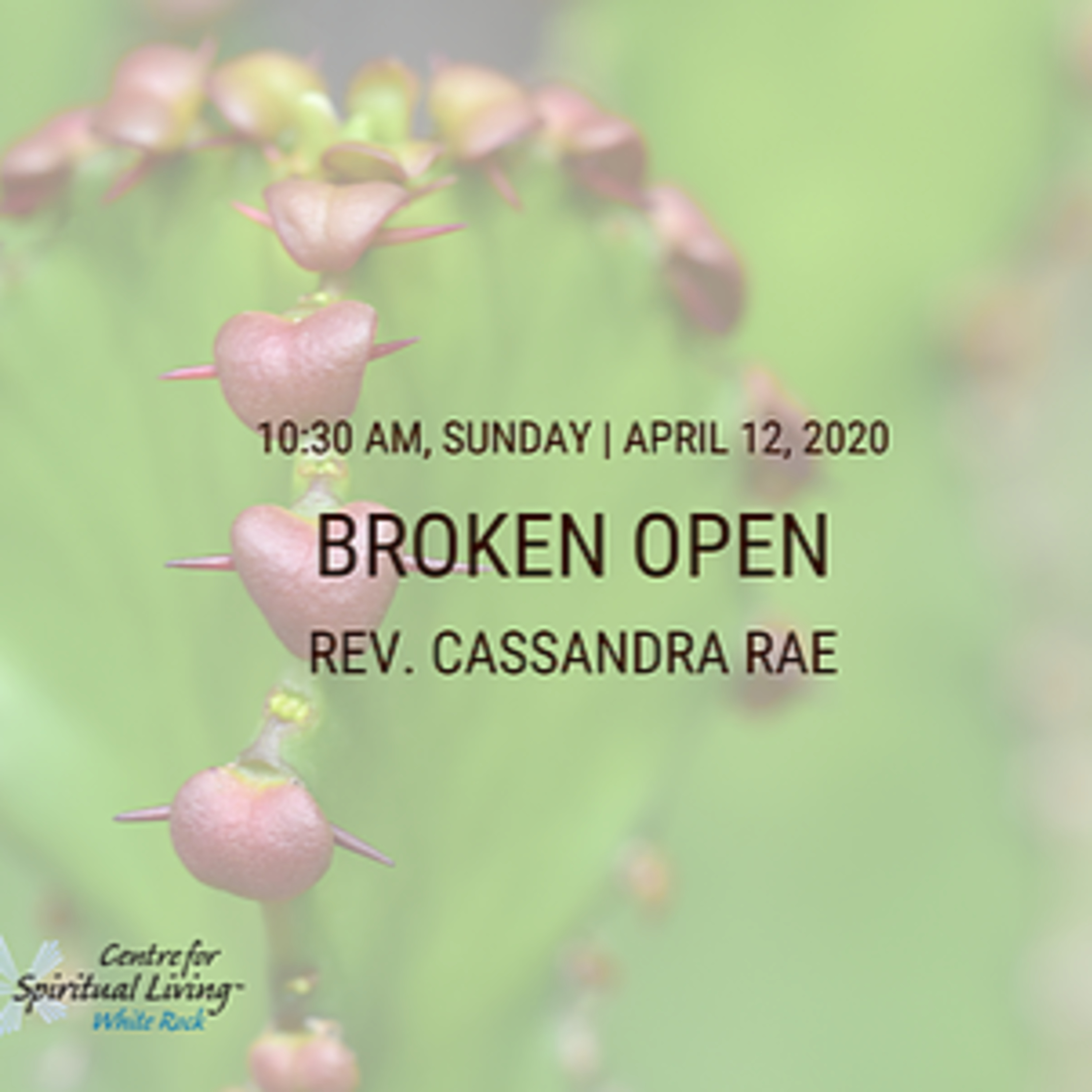 CSL-White Rock Sunday\'s Message
