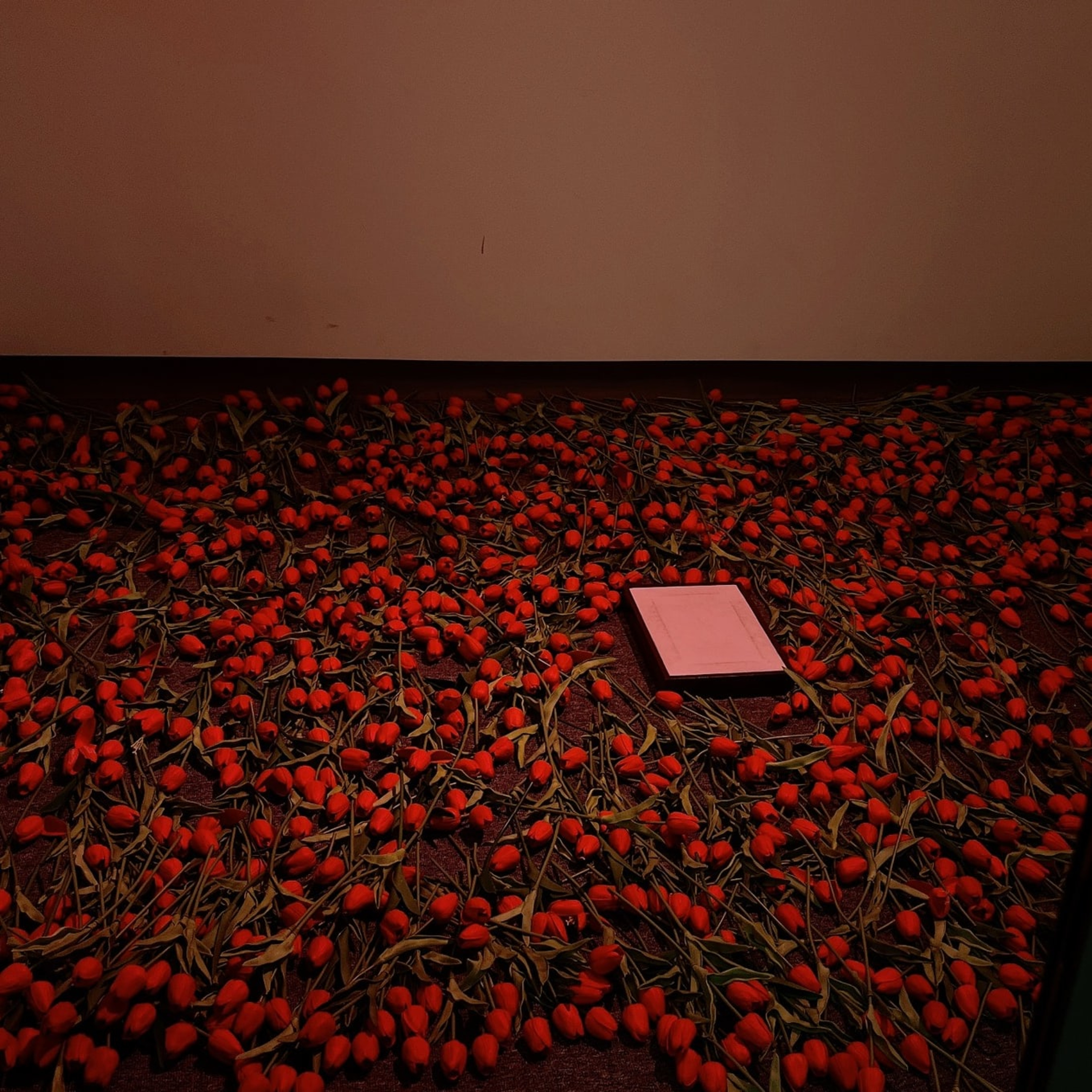 Ở đây Văn một chút