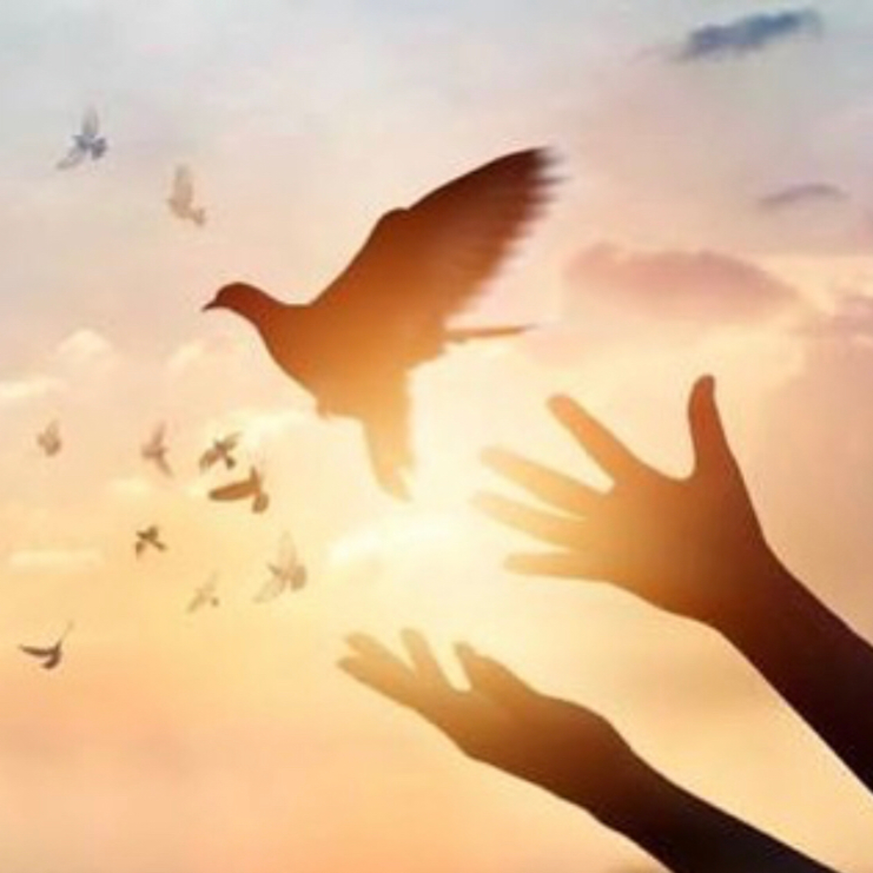 Despertar a Espiritualidade