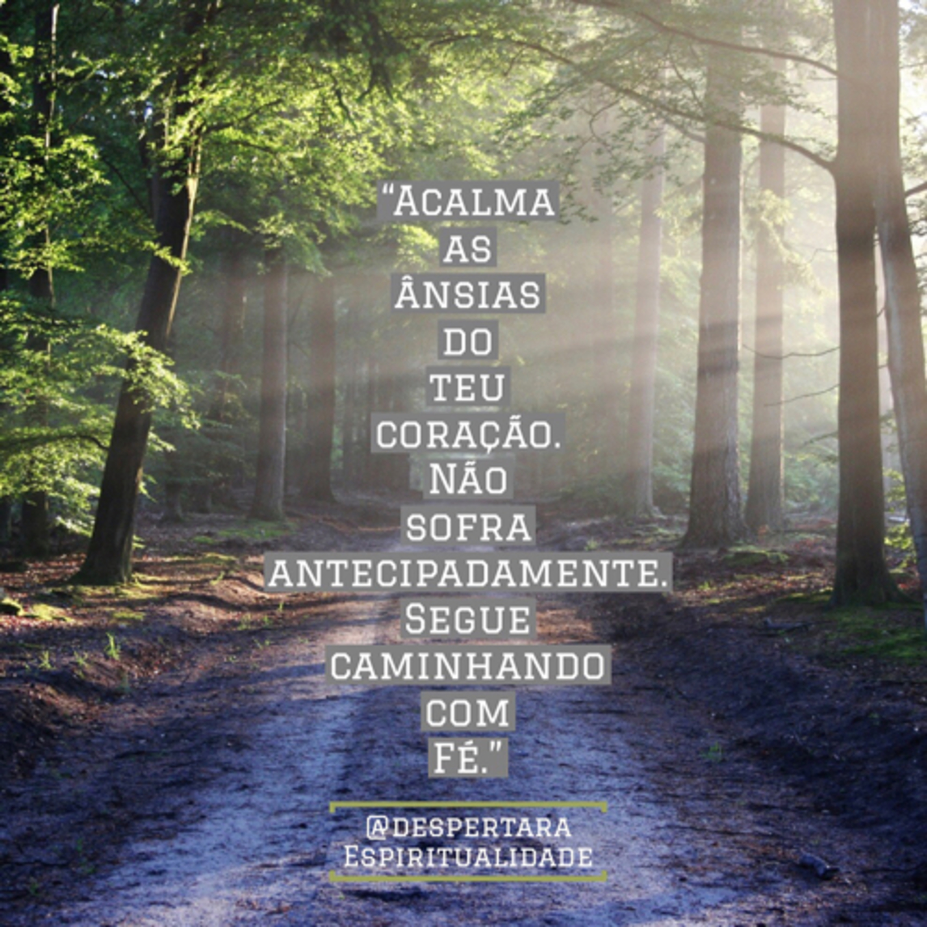 Despertar a Espiritualidade