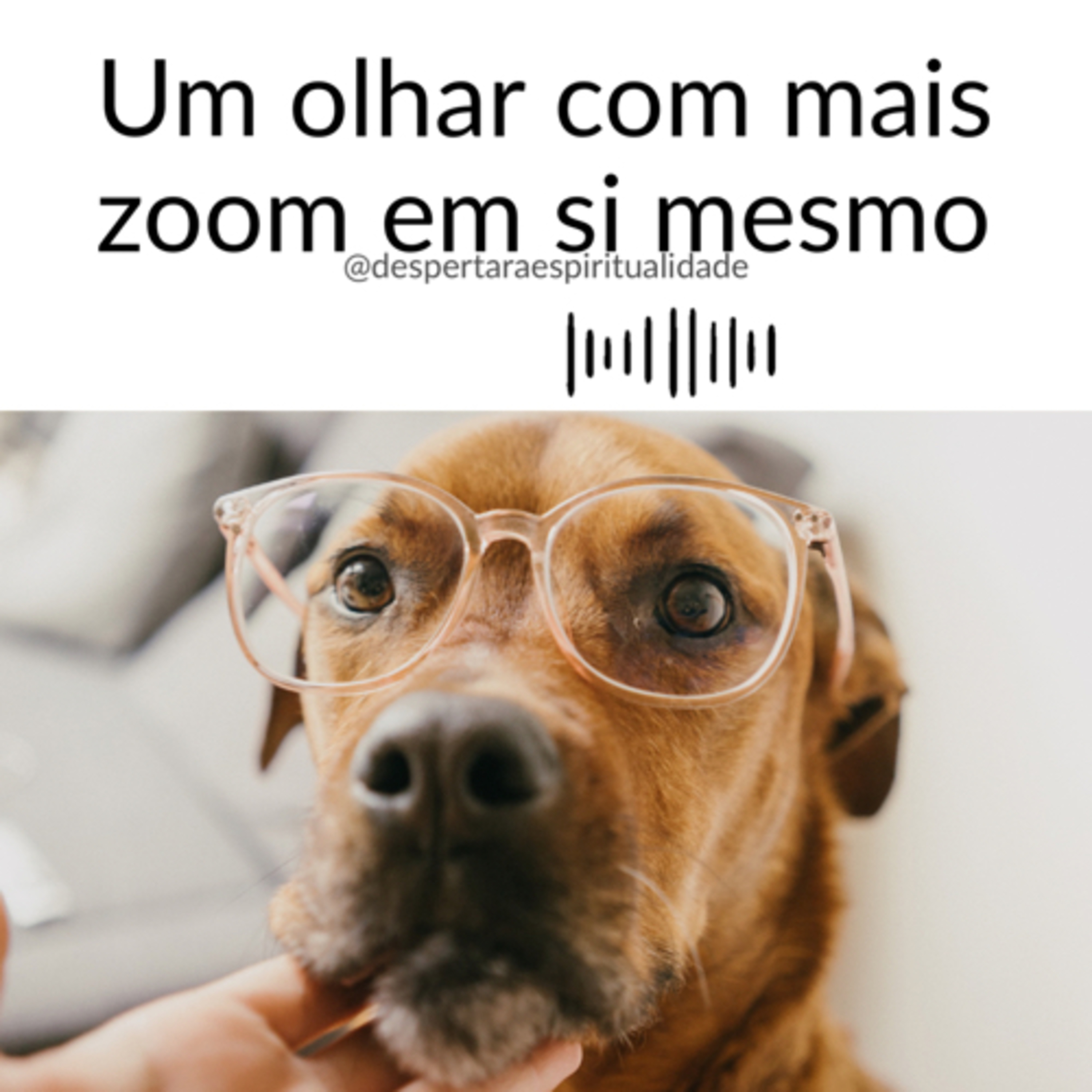 Despertar a Espiritualidade