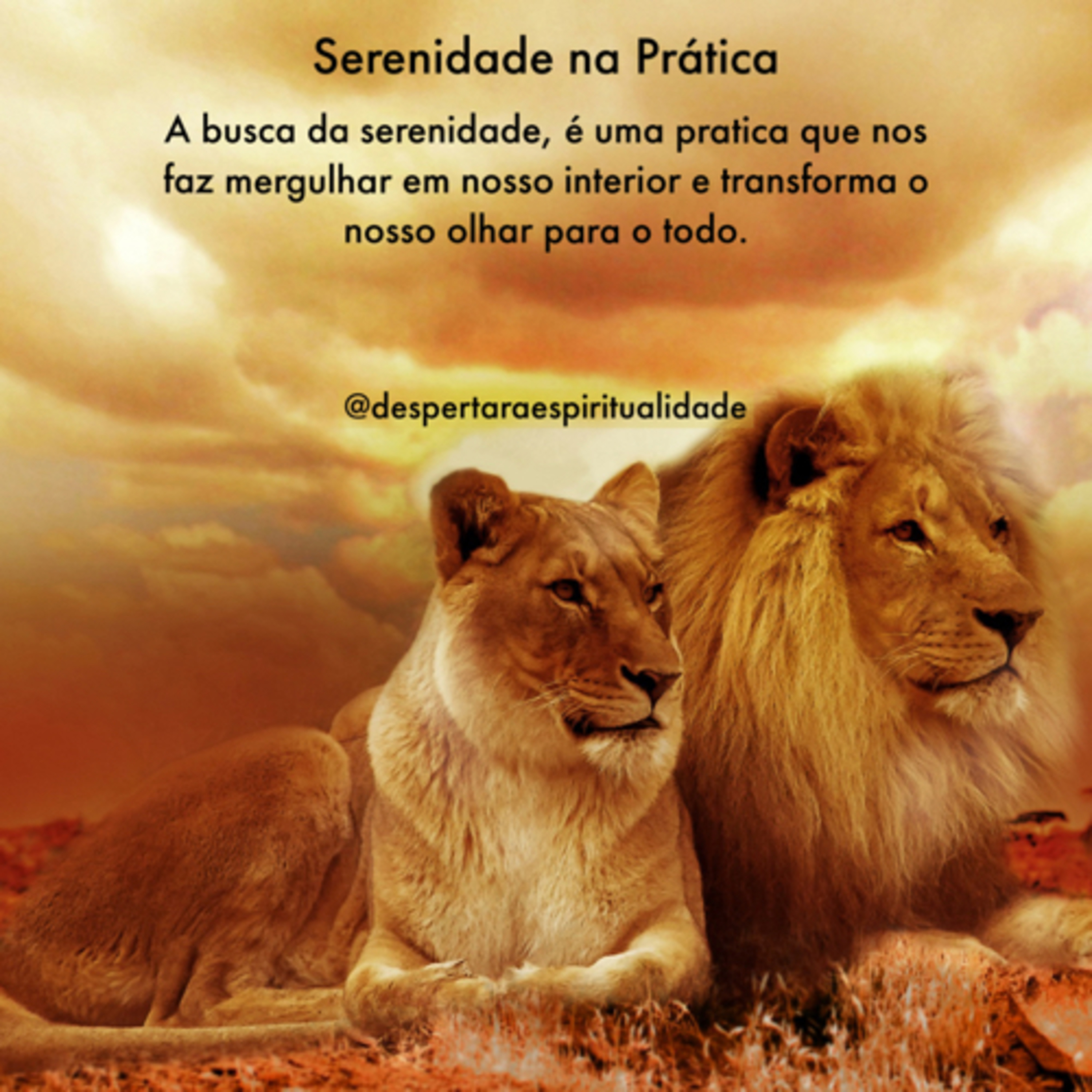 Despertar a Espiritualidade