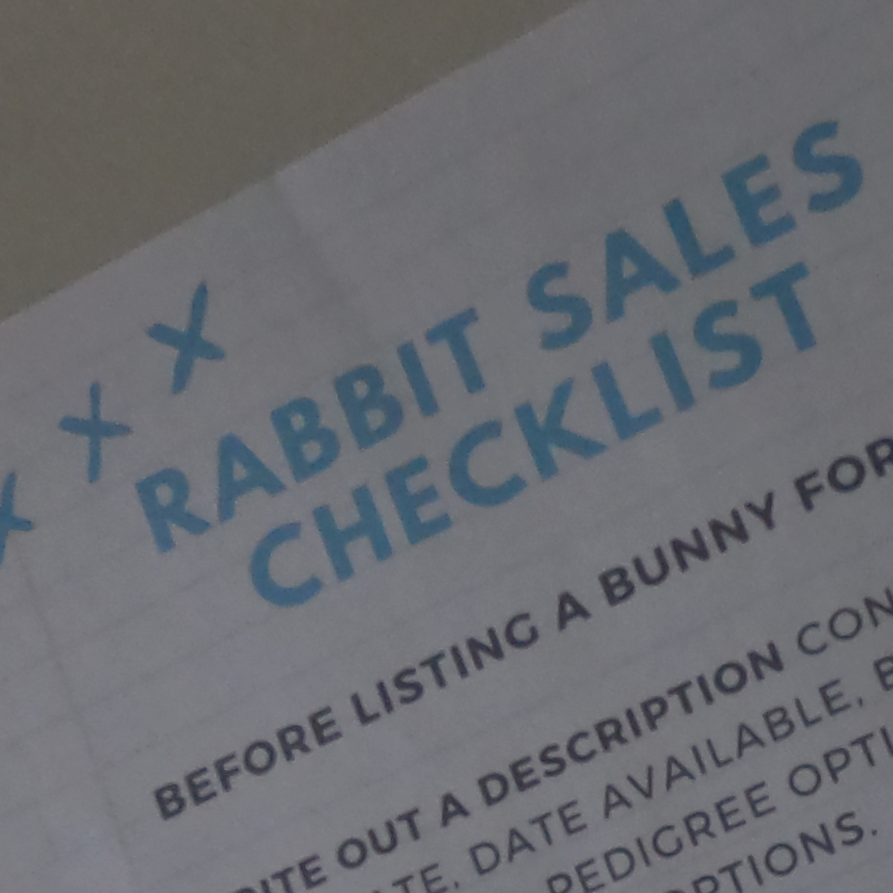3.12 FREE rabbits sales checklist. How to improve your chances of bunny finding a great home! episode artwork