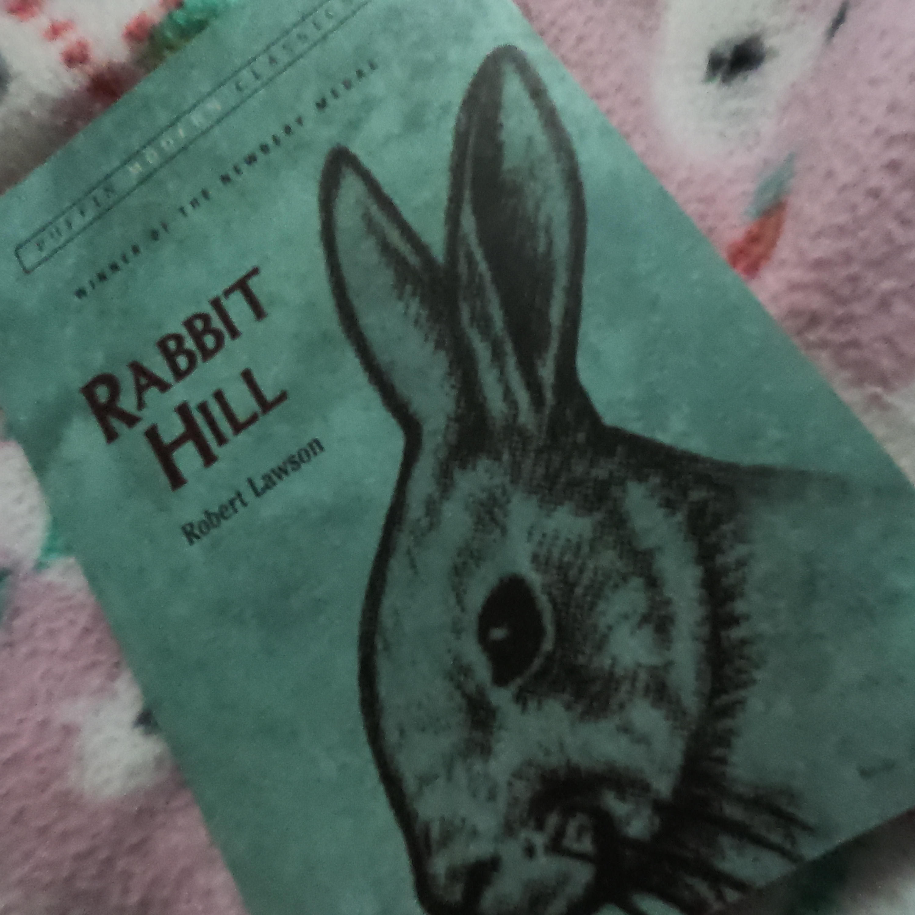 3.28 Why might you read the book "Rabbit Hill?" episode artwork