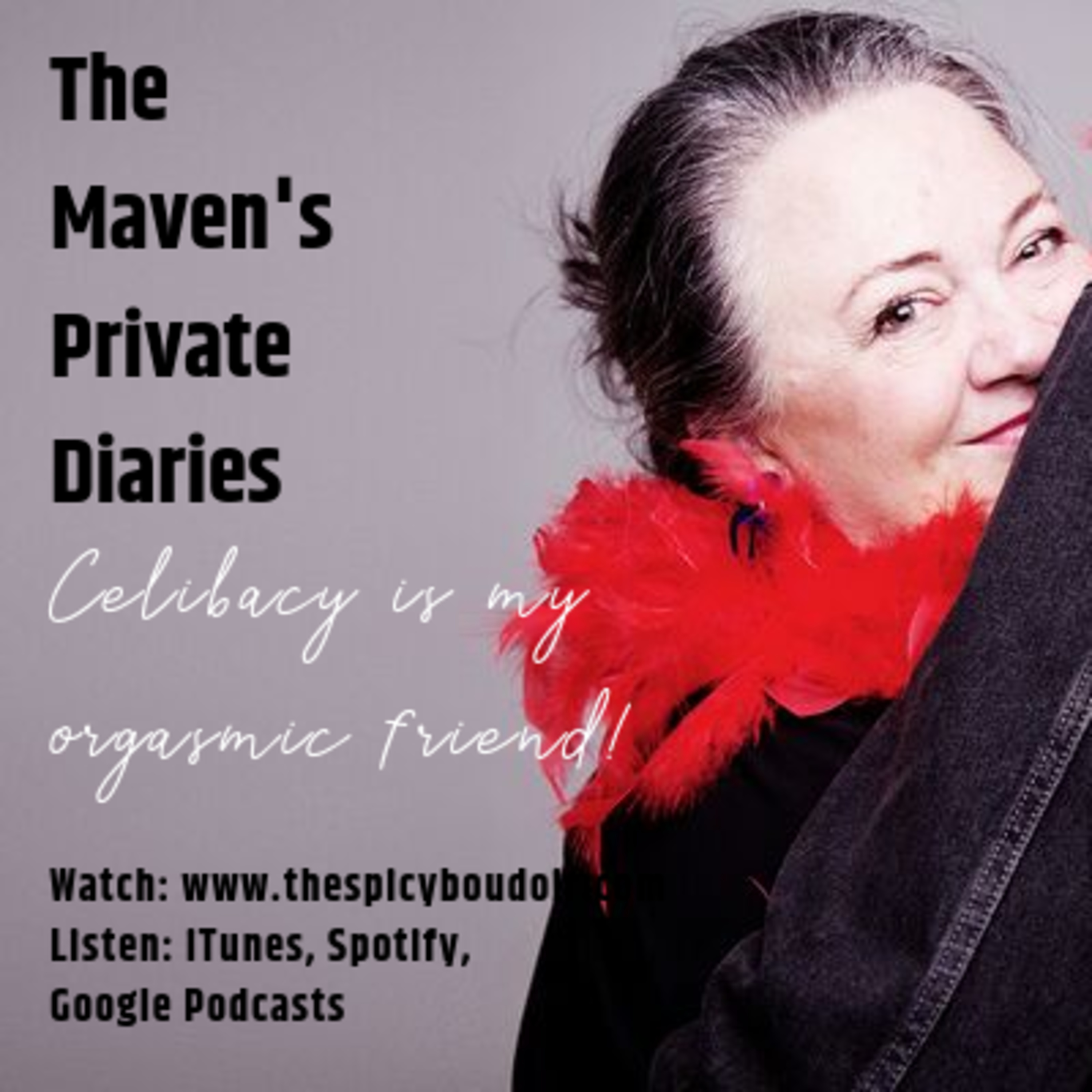 The Maven\'s Private Diaries