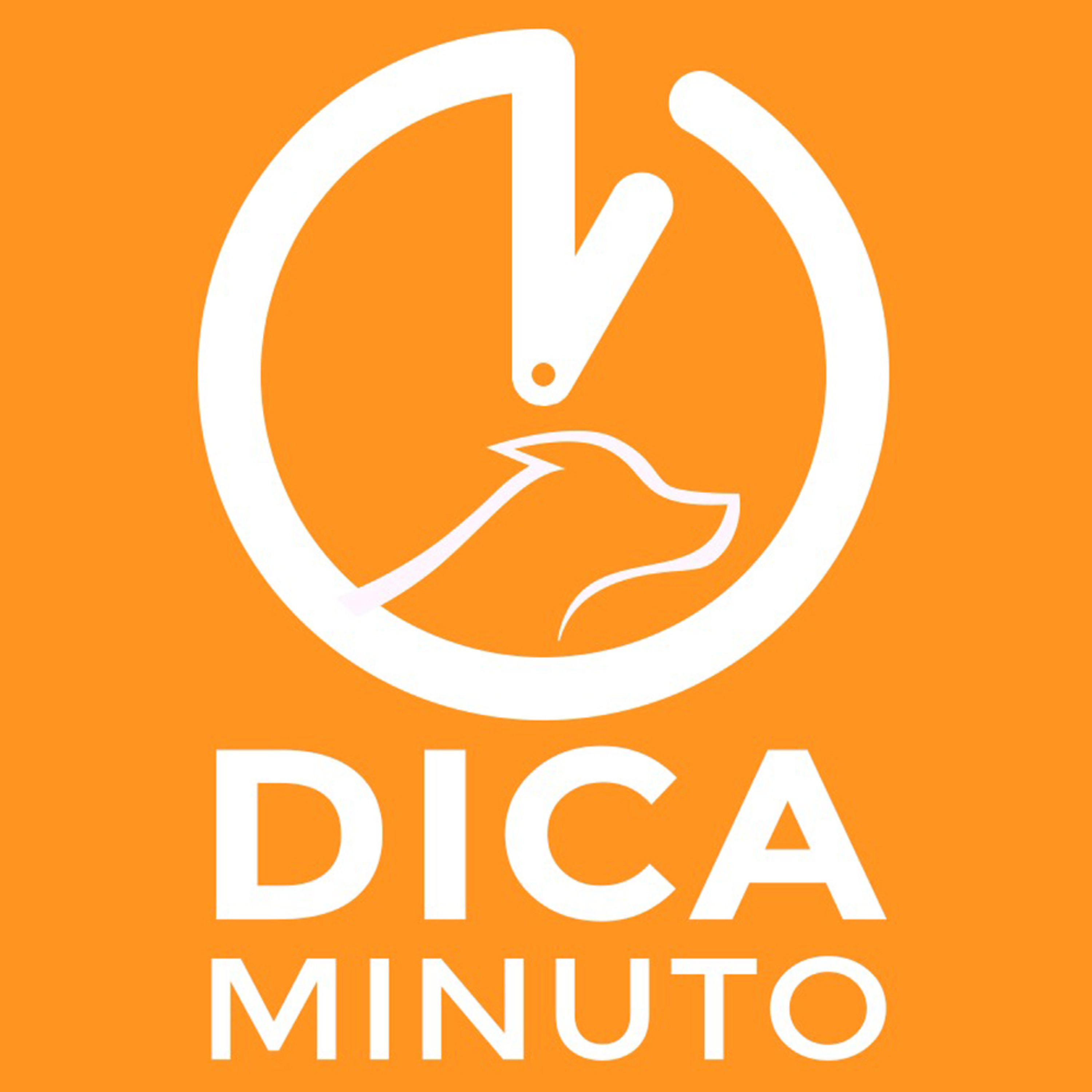 Segundo cão é solução?