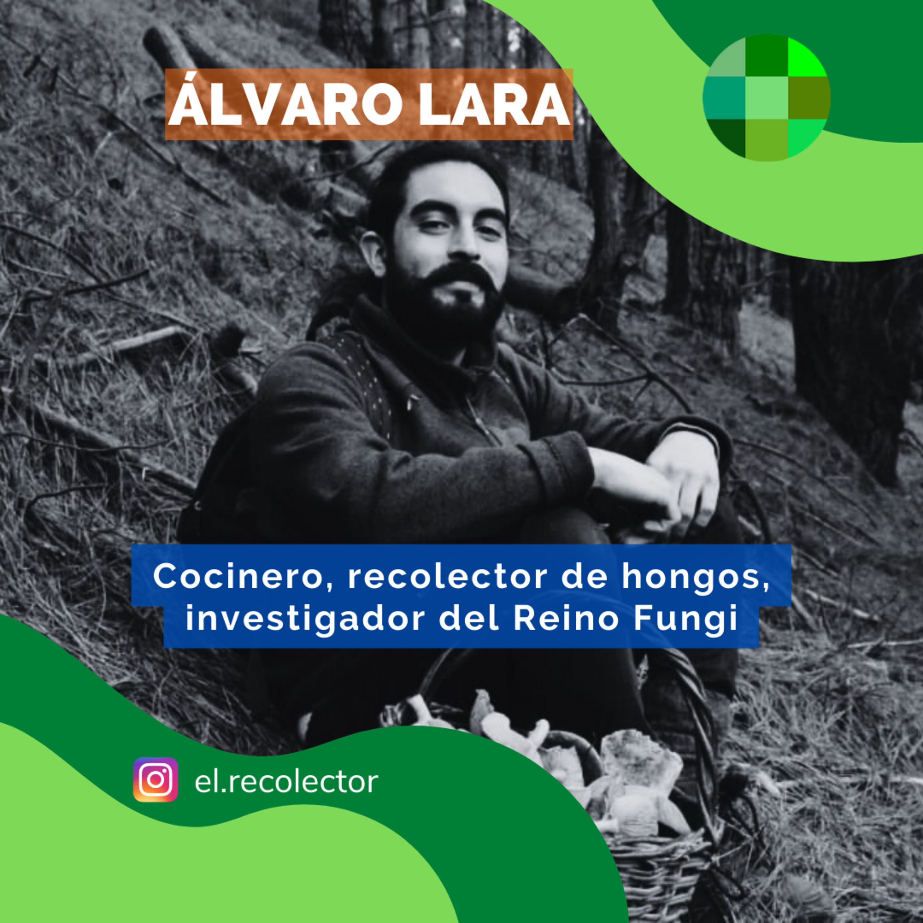 Naturalmente Conectados