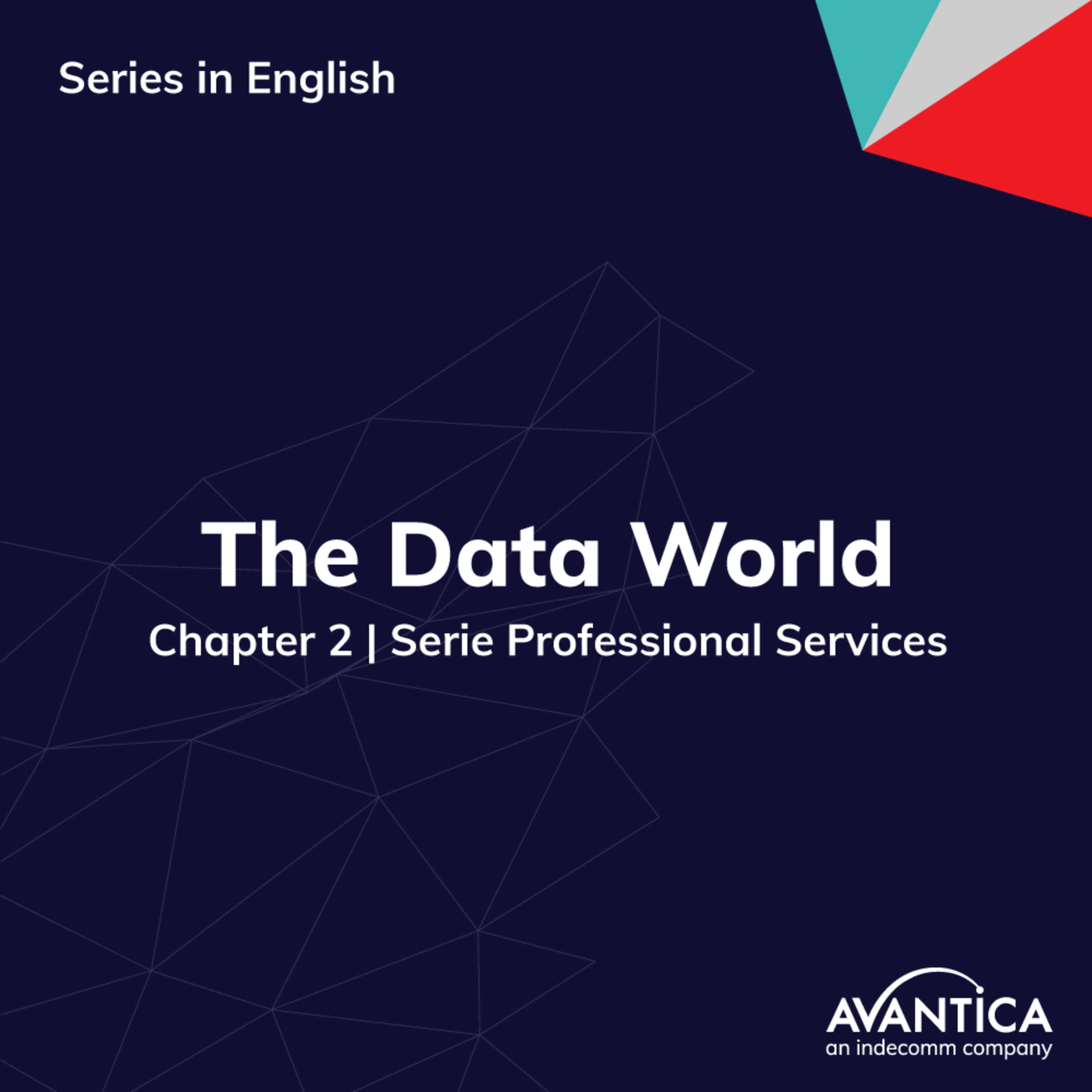 The Data World. episode artwork