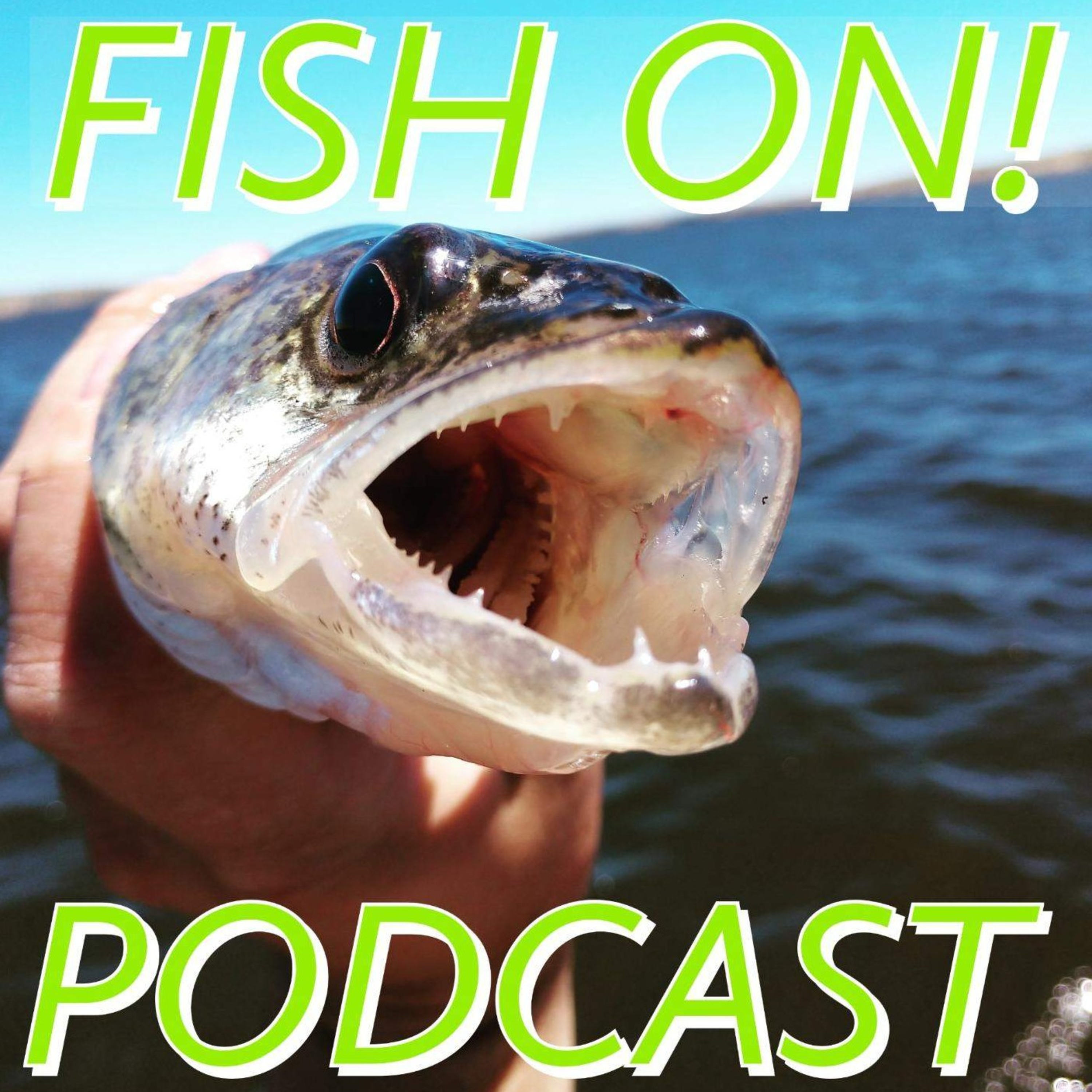 Episode 2: One fish, two fish! Episode 2: One fish, two fish!