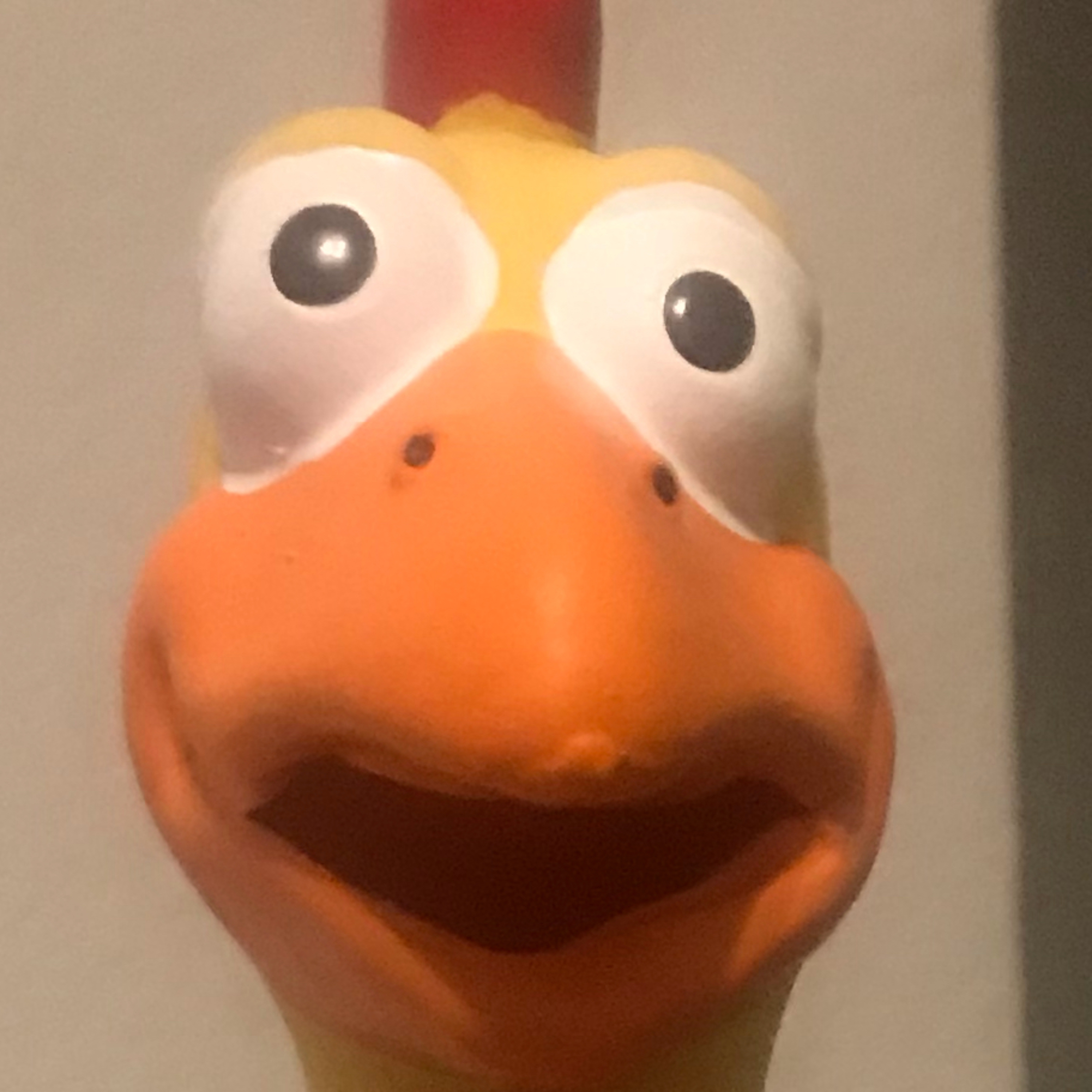 A Yeeterly Introduction A Yeeterly Introduction