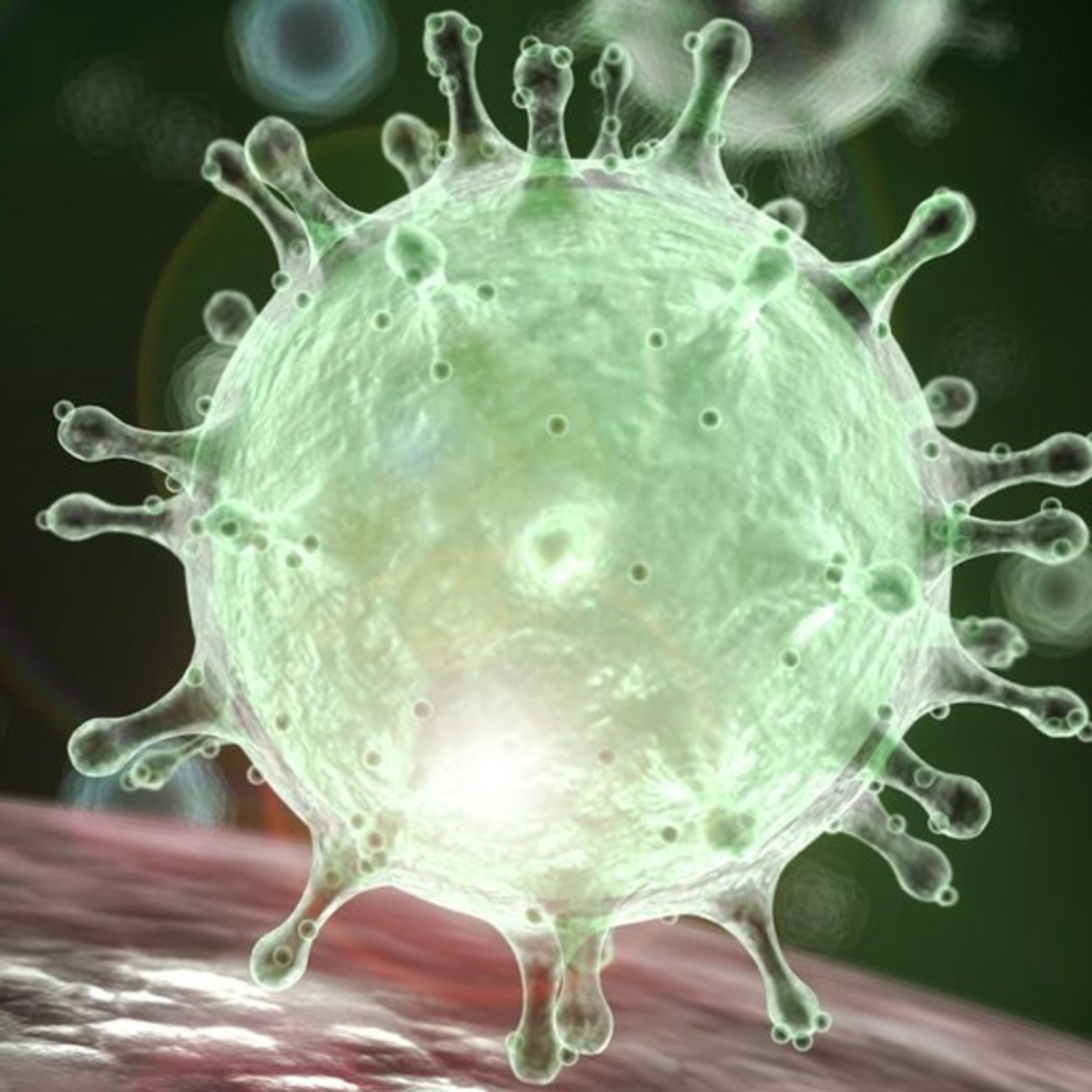 THE CORONA CONSPIRACY DELVES DEEP INTO THE VIRUS THAT BROUGHT THE WORLD TO IT'S KNEES. WALK WITH US