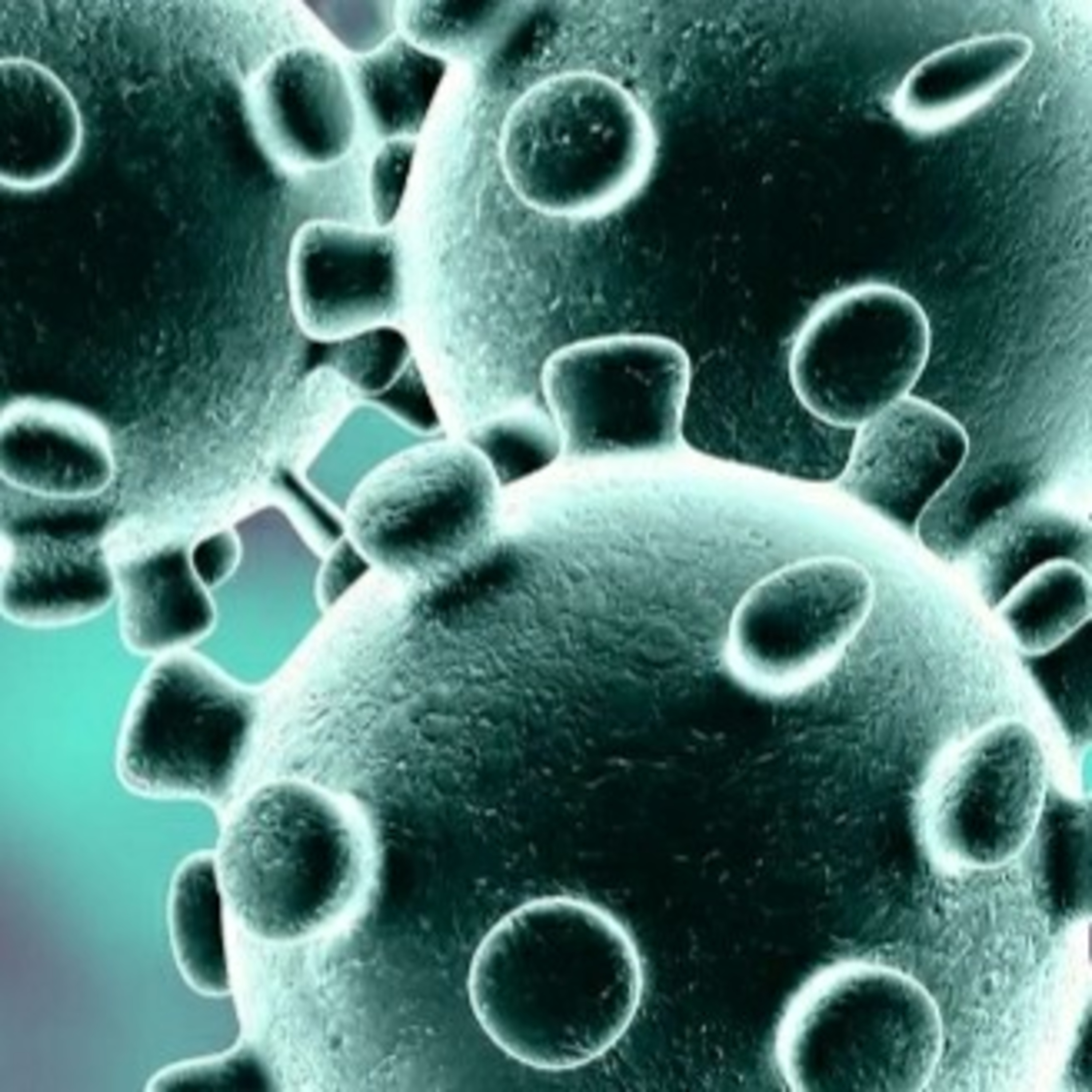 CORONAVIRUS CONSPIRACY PART TWO TAKES US A STEP FURTHER INTO THIS VIRUS THAT HAS SHOOK THE WORLD.