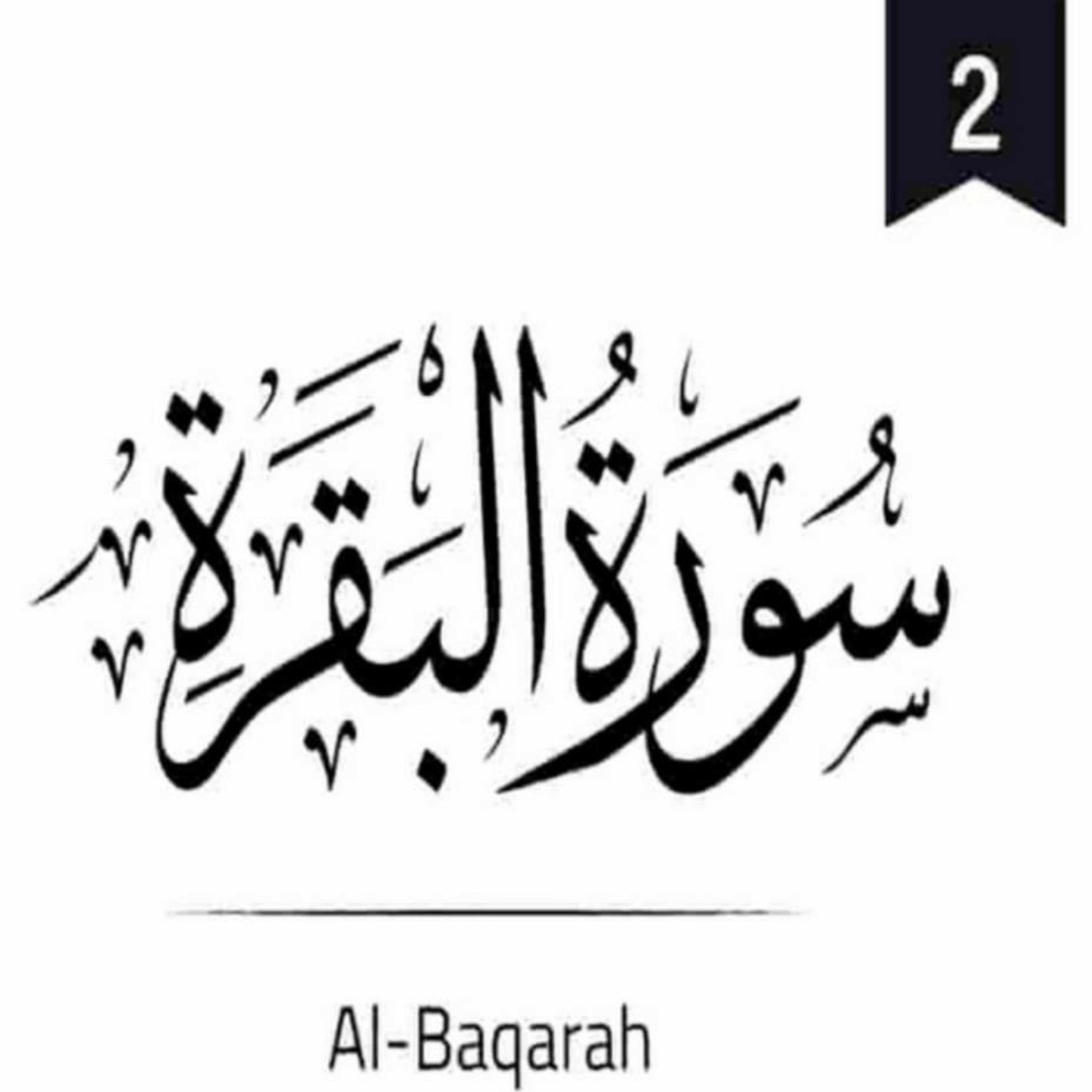 Surah Al Baqarah I Ayah 208-210 I سورۃ البقرة (Completely and Wholeheartedly)