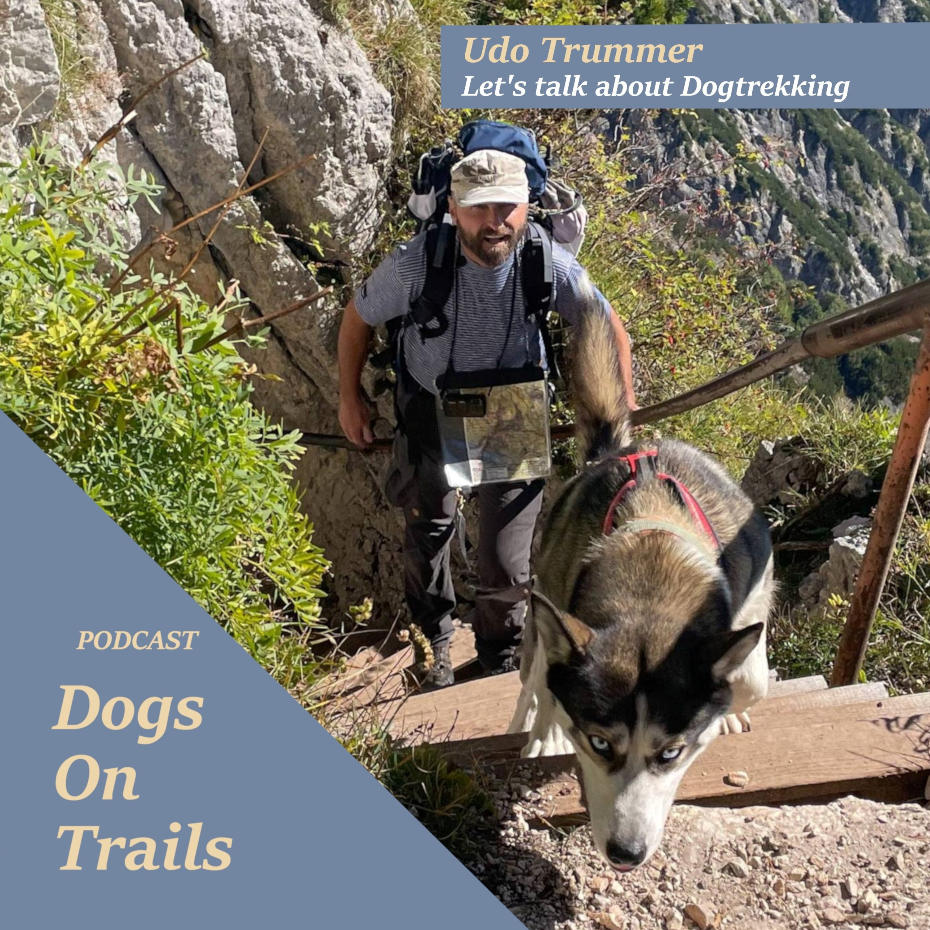 Dogs on Trails