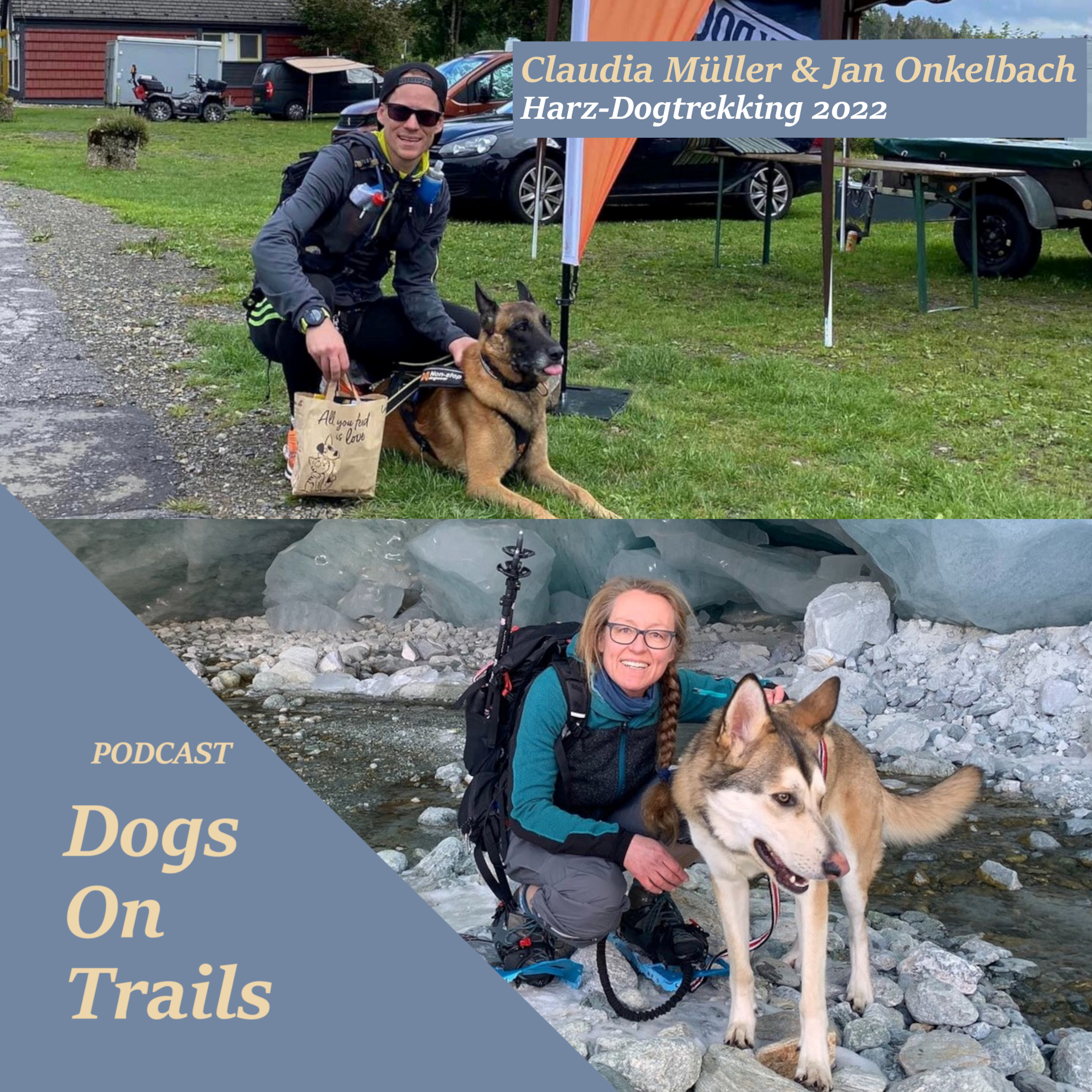 Dogs on Trails