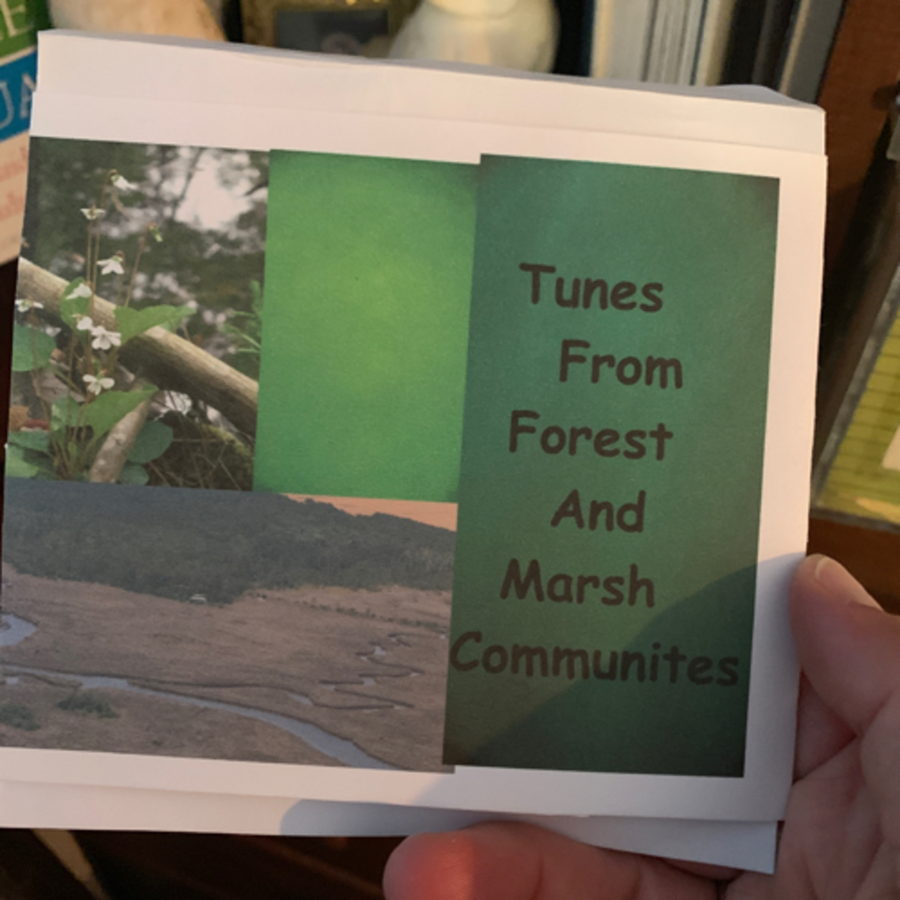 Letters and Journal to Friends : Laura MacNorlin, Friend