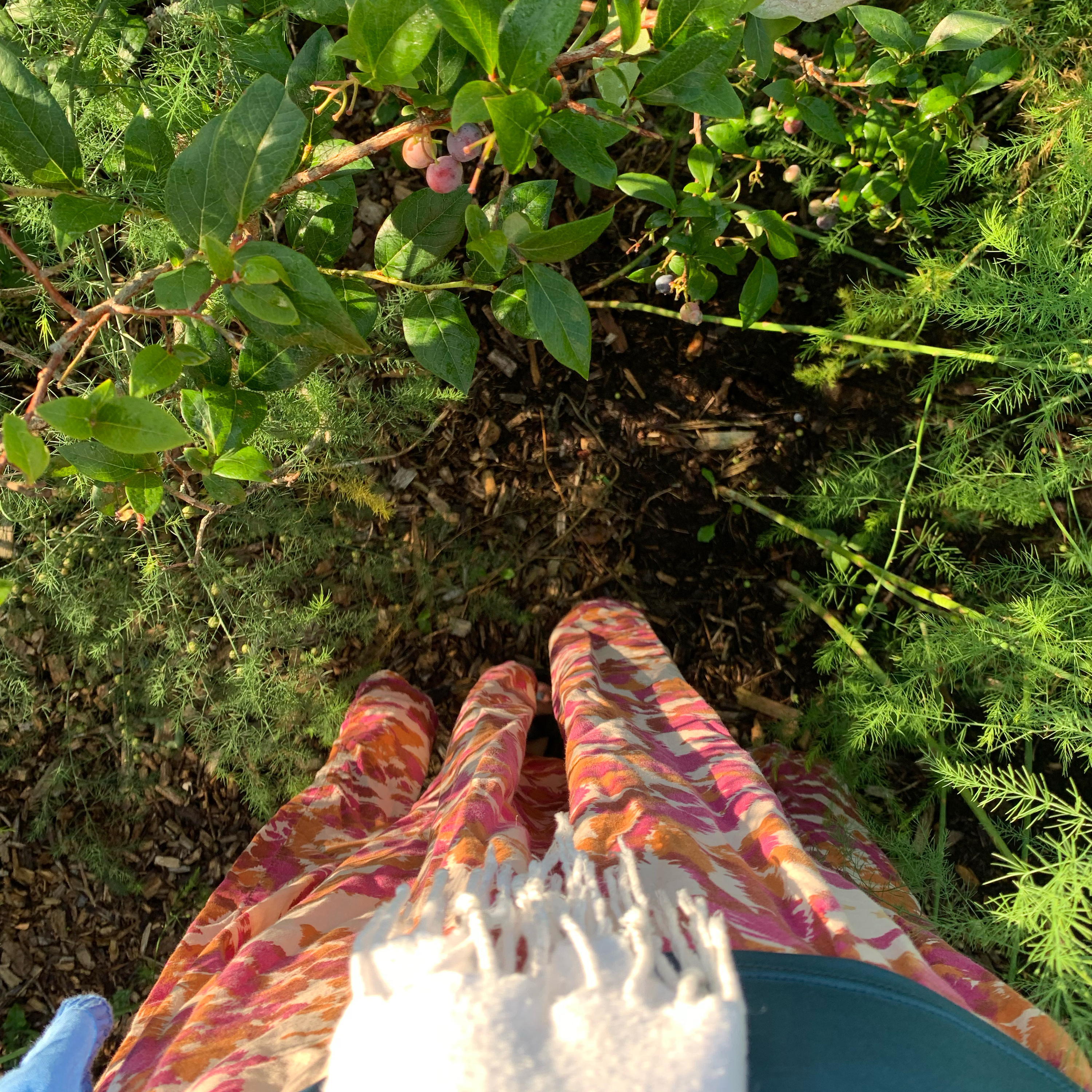 Letters and Journal to Friends : Laura MacNorlin, Friend