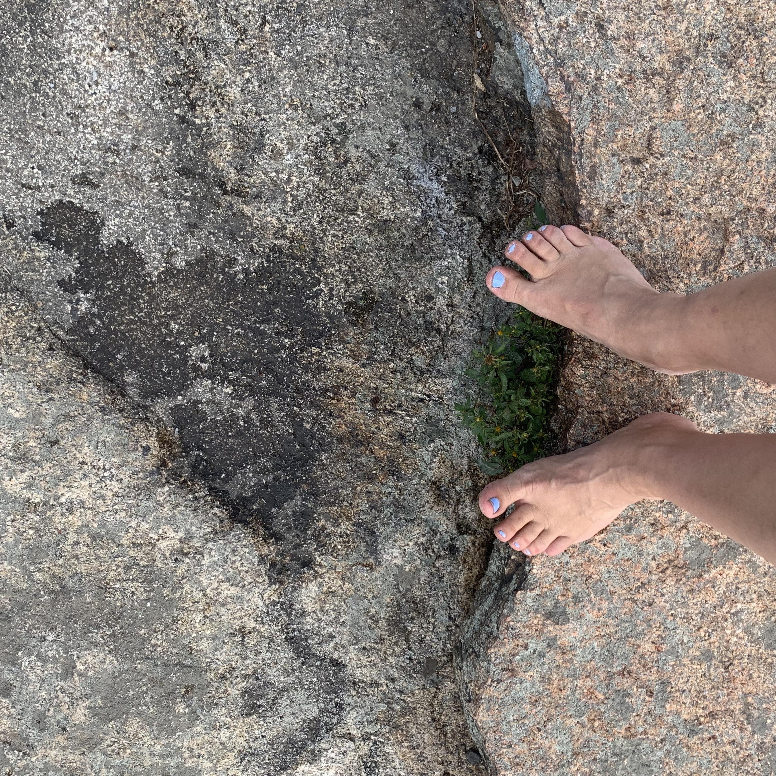 Letters and Journal to Friends : Laura MacNorlin, Friend