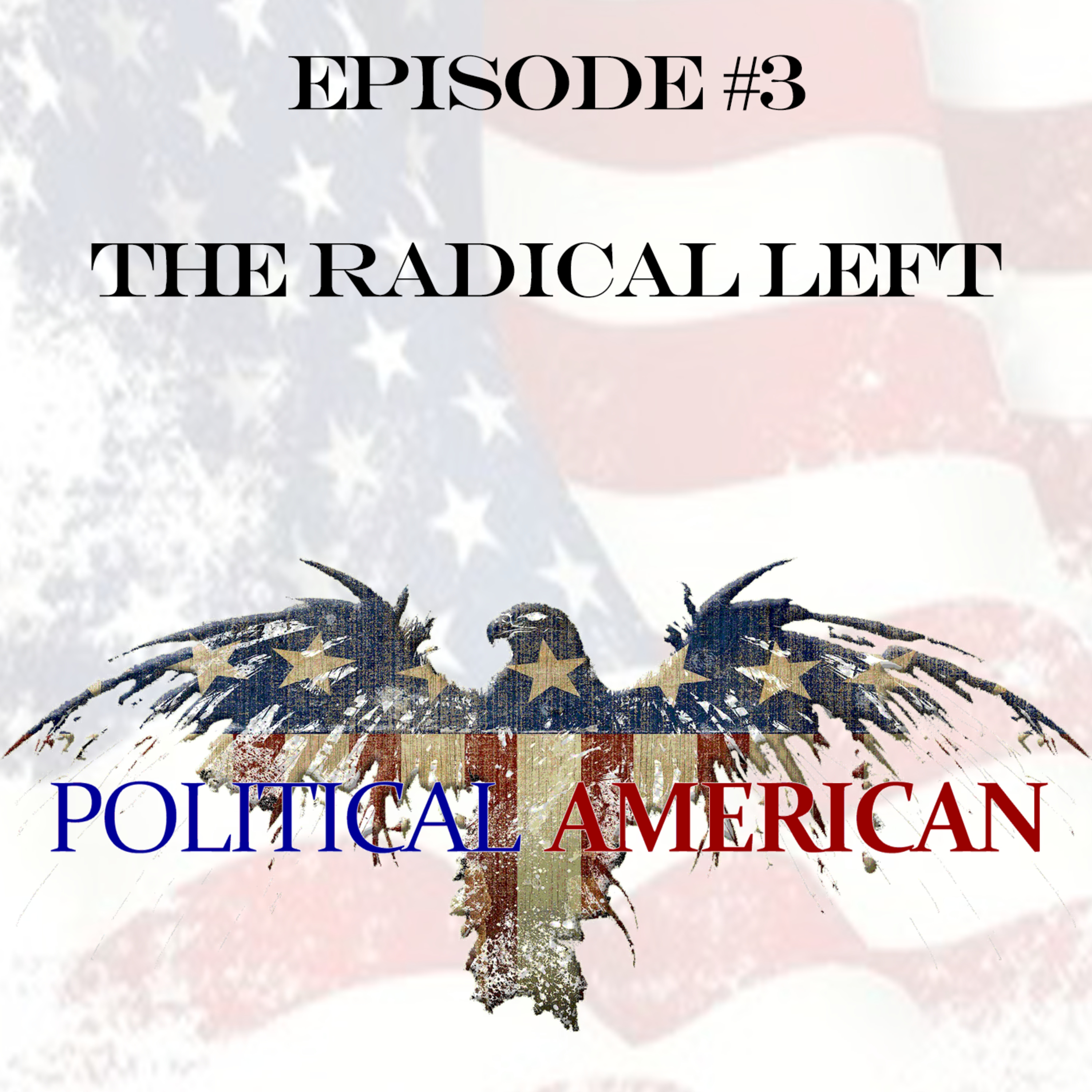 0003: The Radical Left episode artwork
