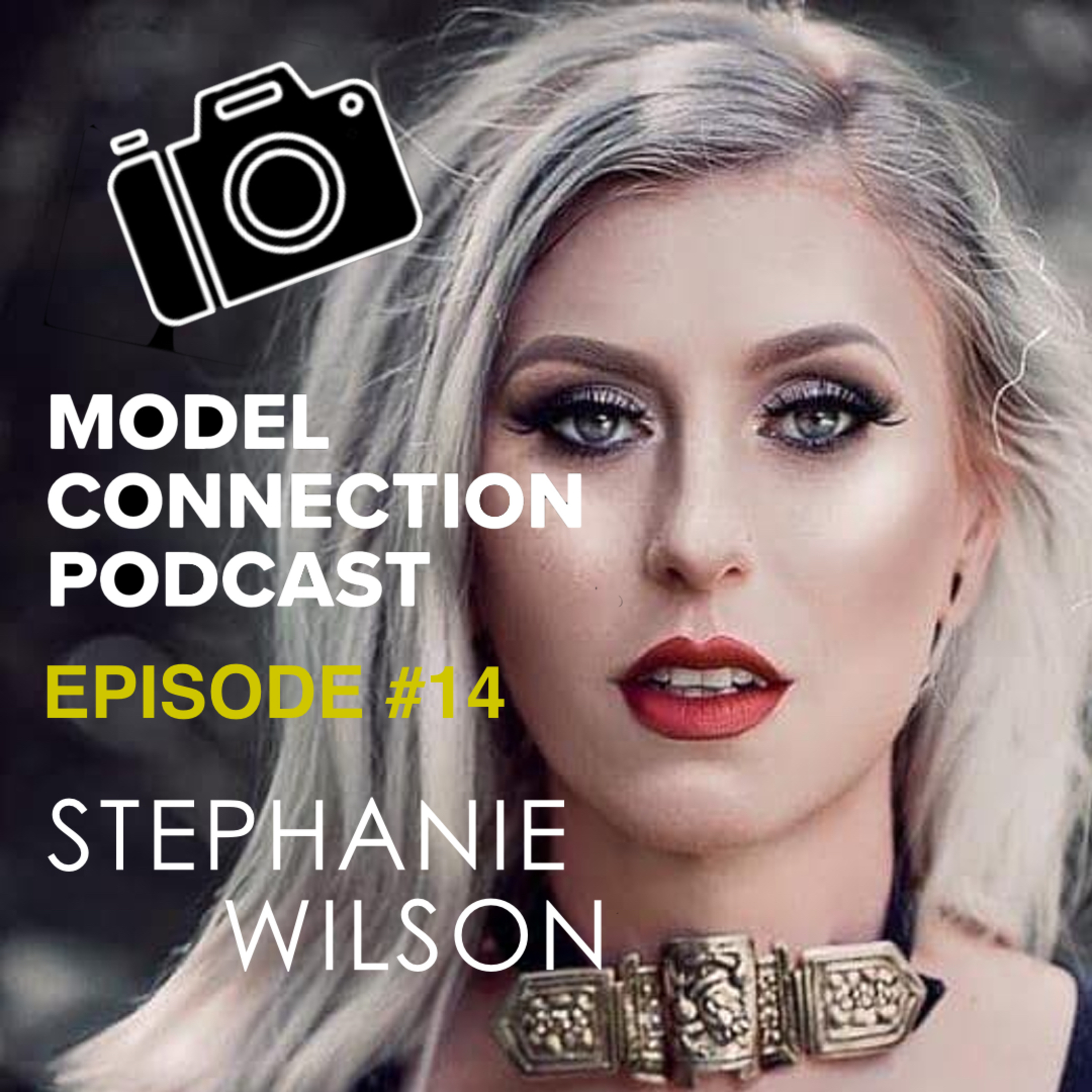 Model Connection