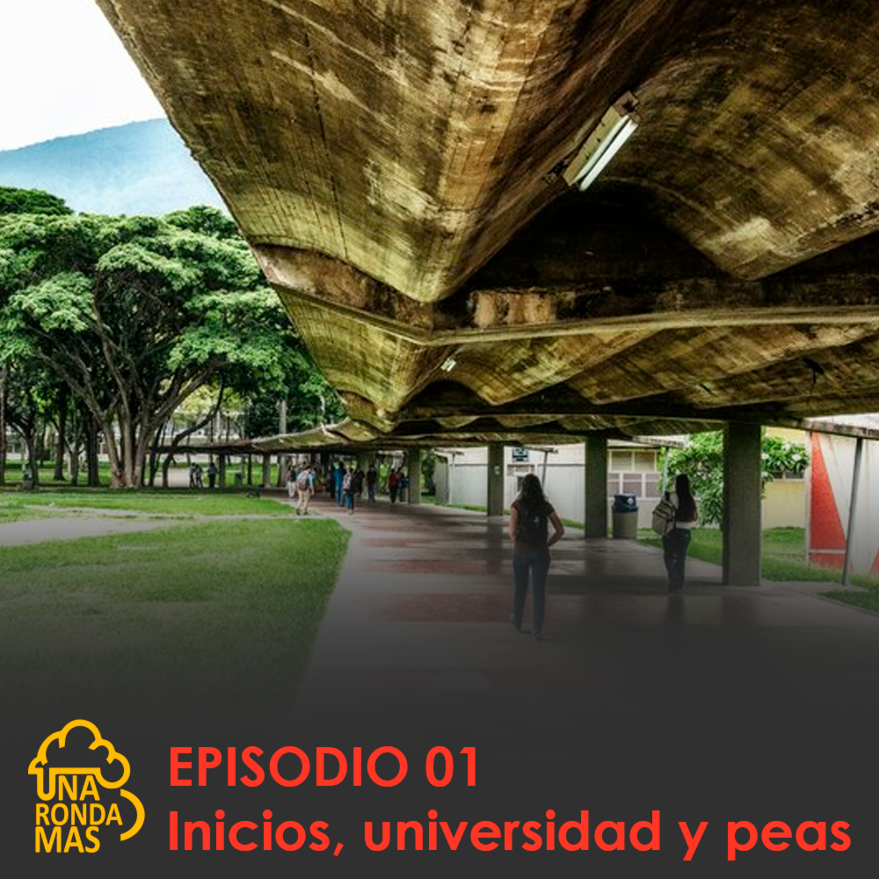 Inicios, universidad y peas