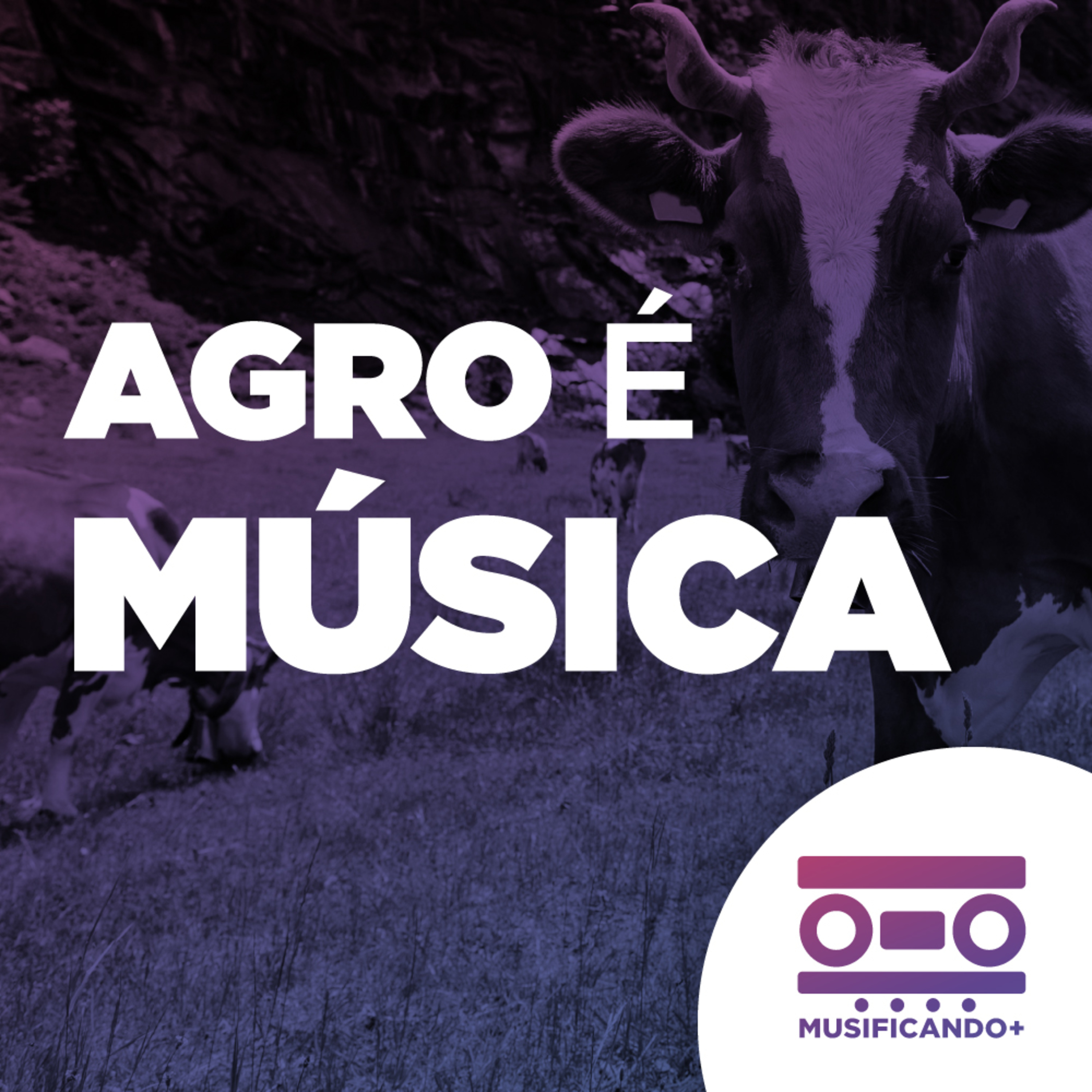 Musificando+