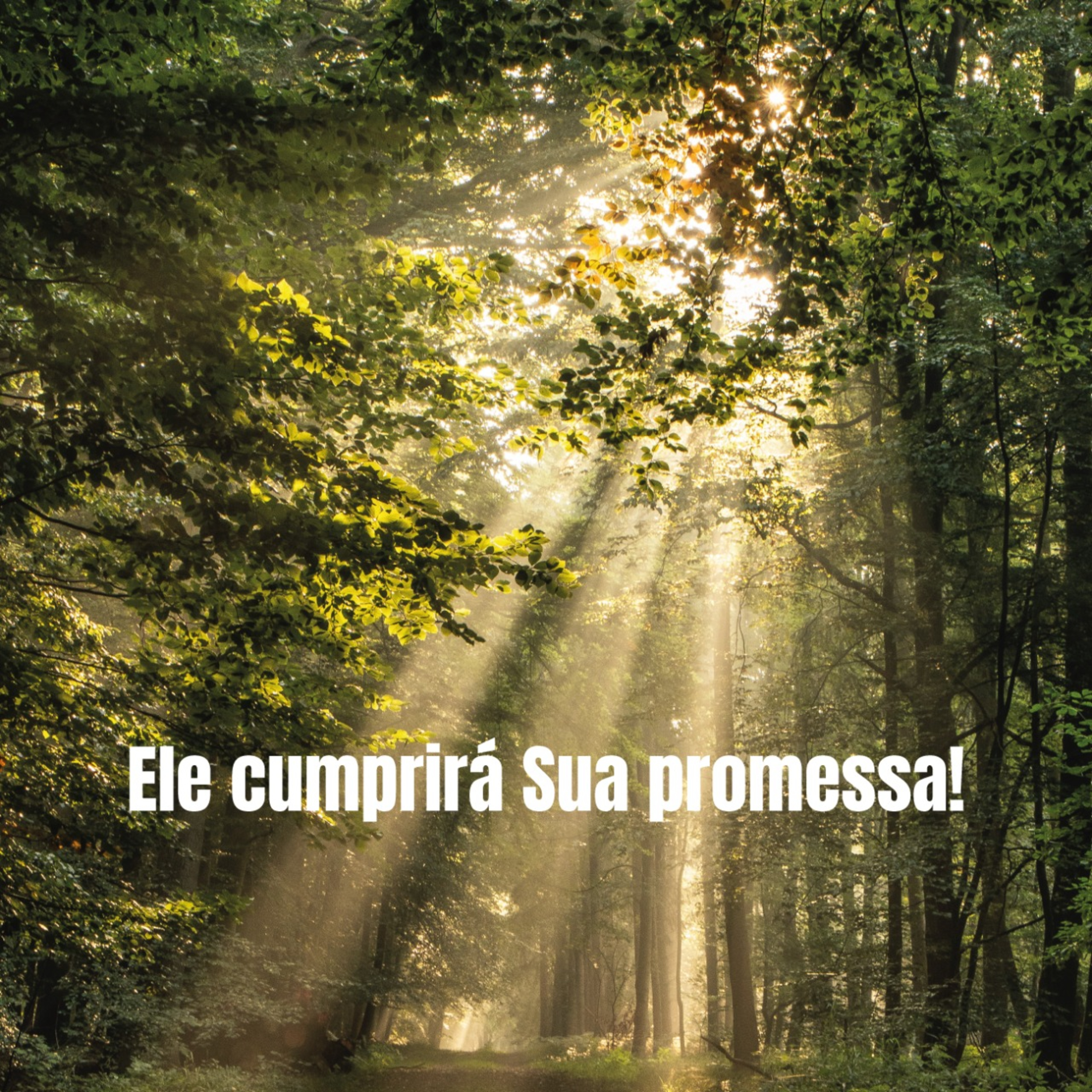 Ele Cumprirá sua Promessa! episode artwork