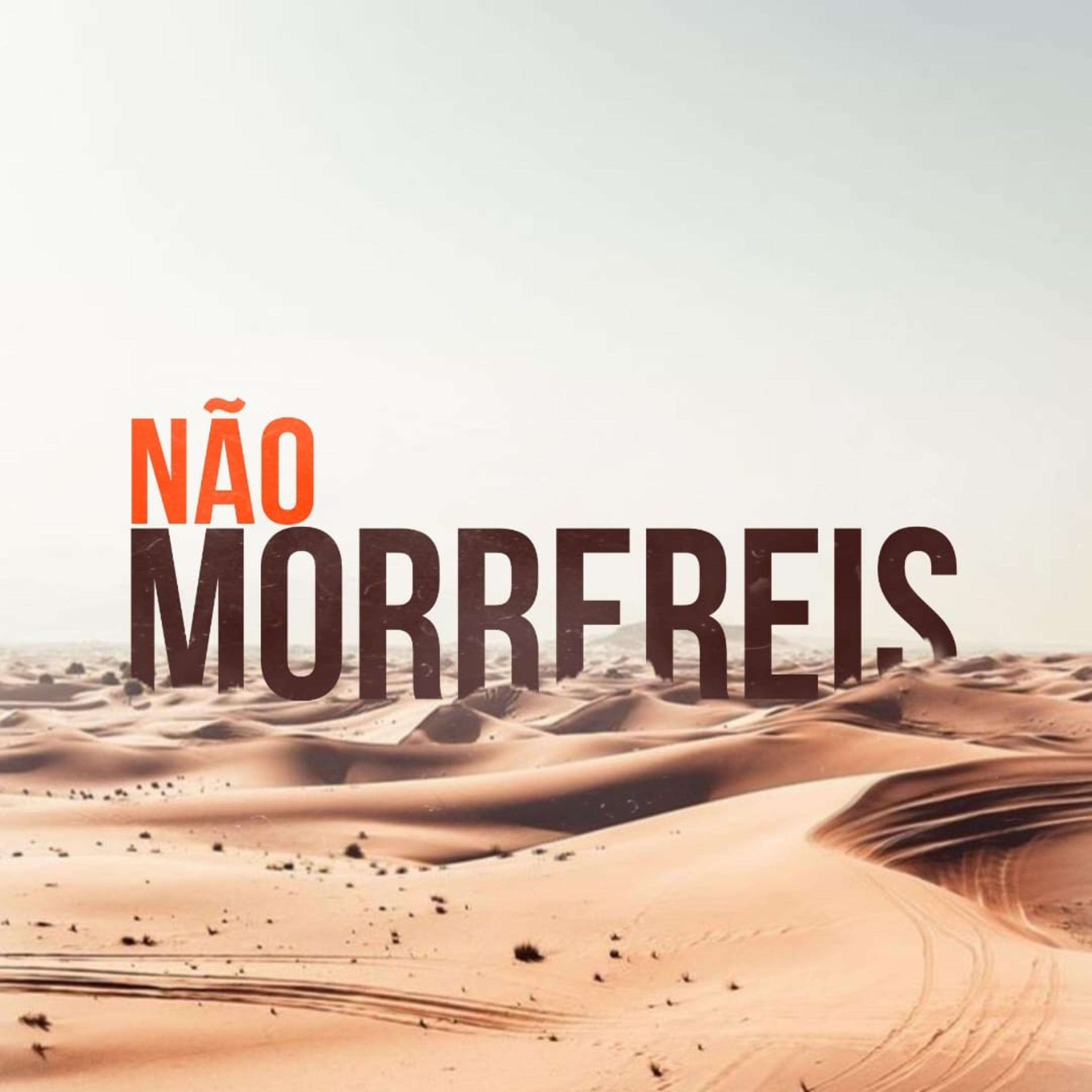 Não Morrereis episode artwork