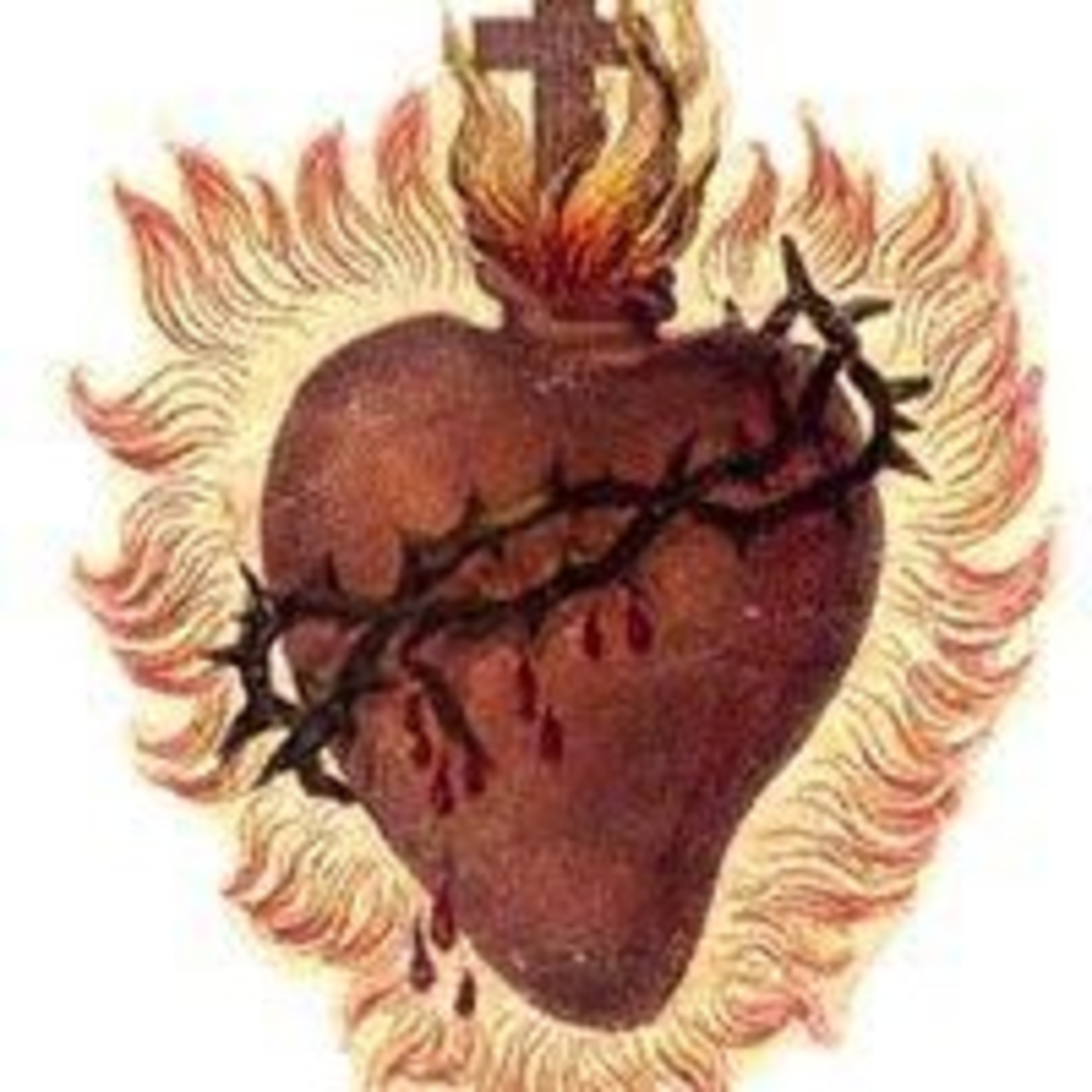 Carrusel De Historias Para El Alma
