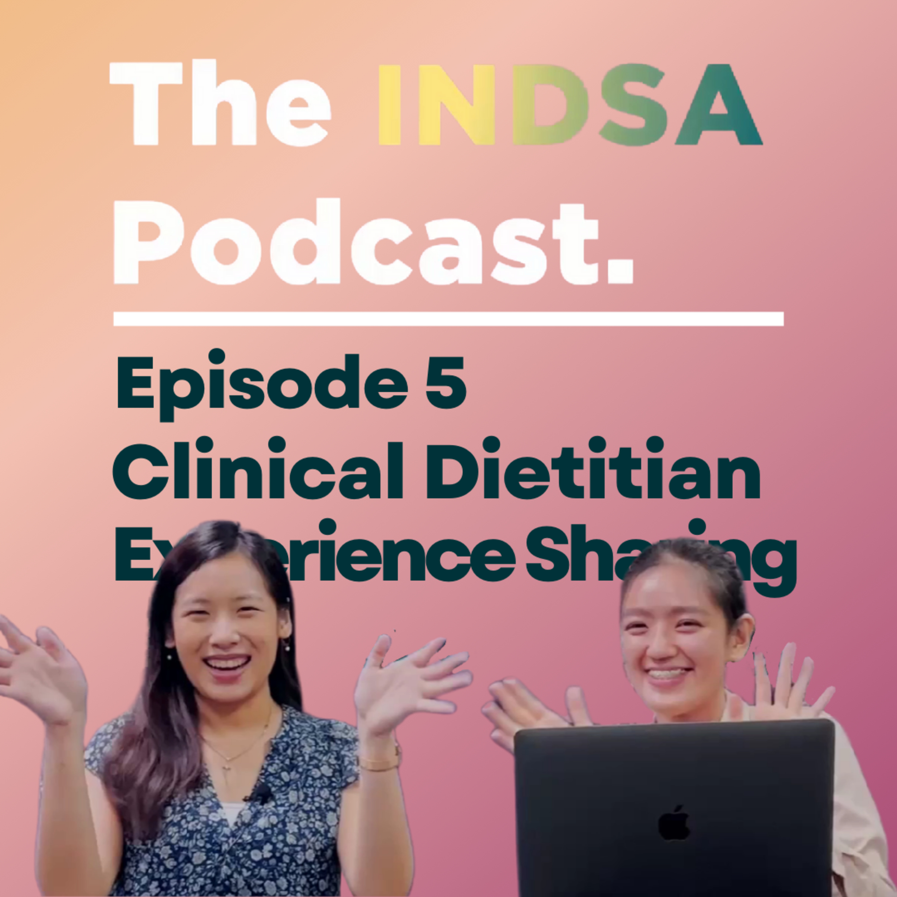 The INDSA Podcast