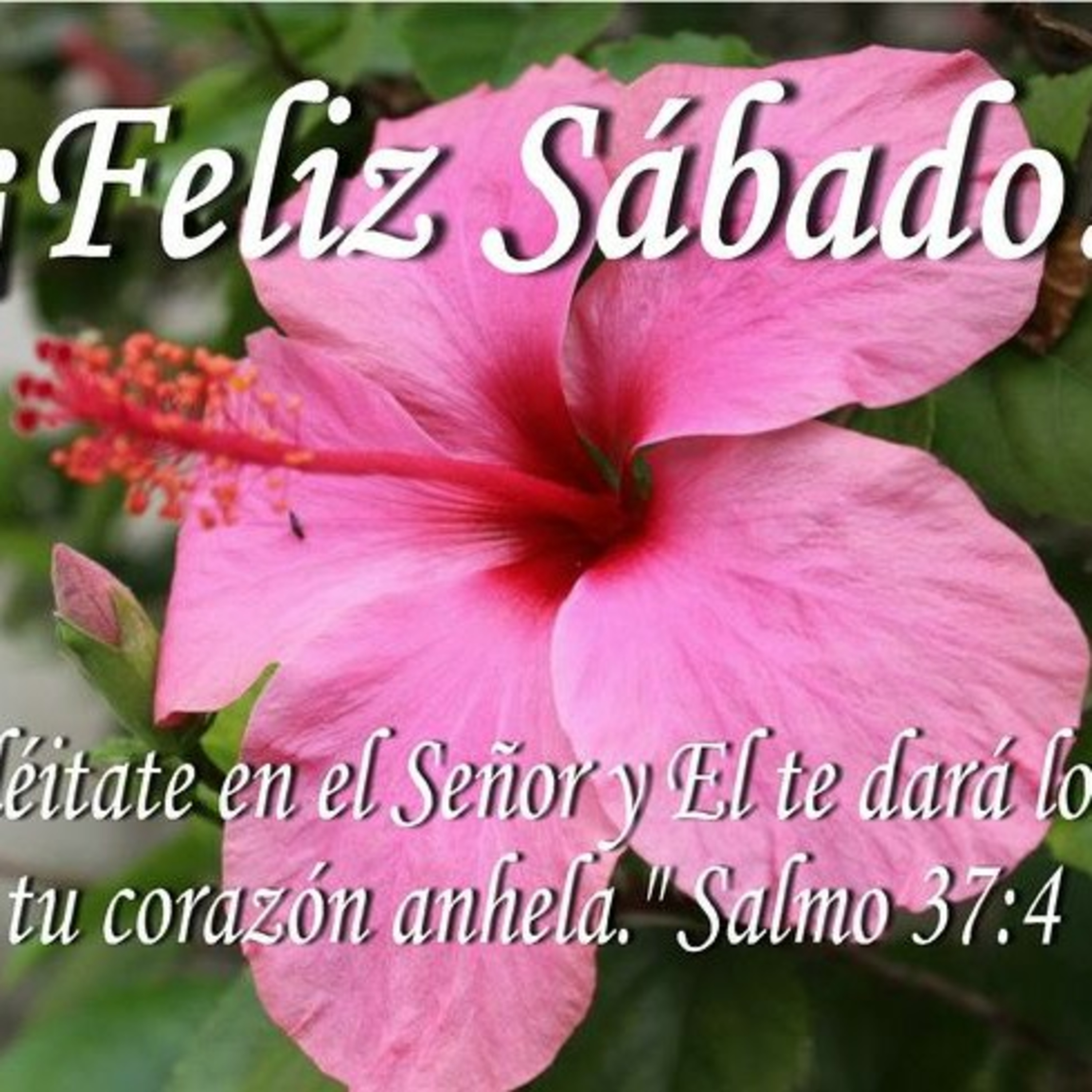 Malaquías 3:6-12, Pastor Manuel Urrua 4/6/24