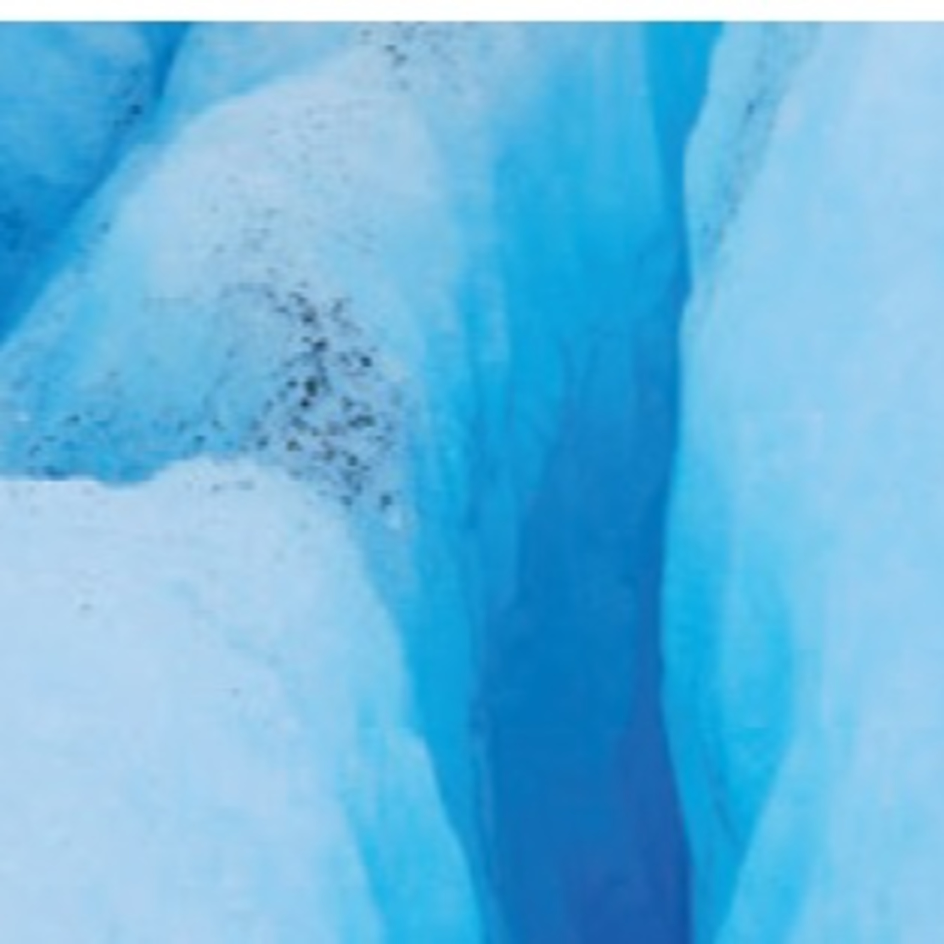 Antártica, Ártico e Mudanças Climáticas