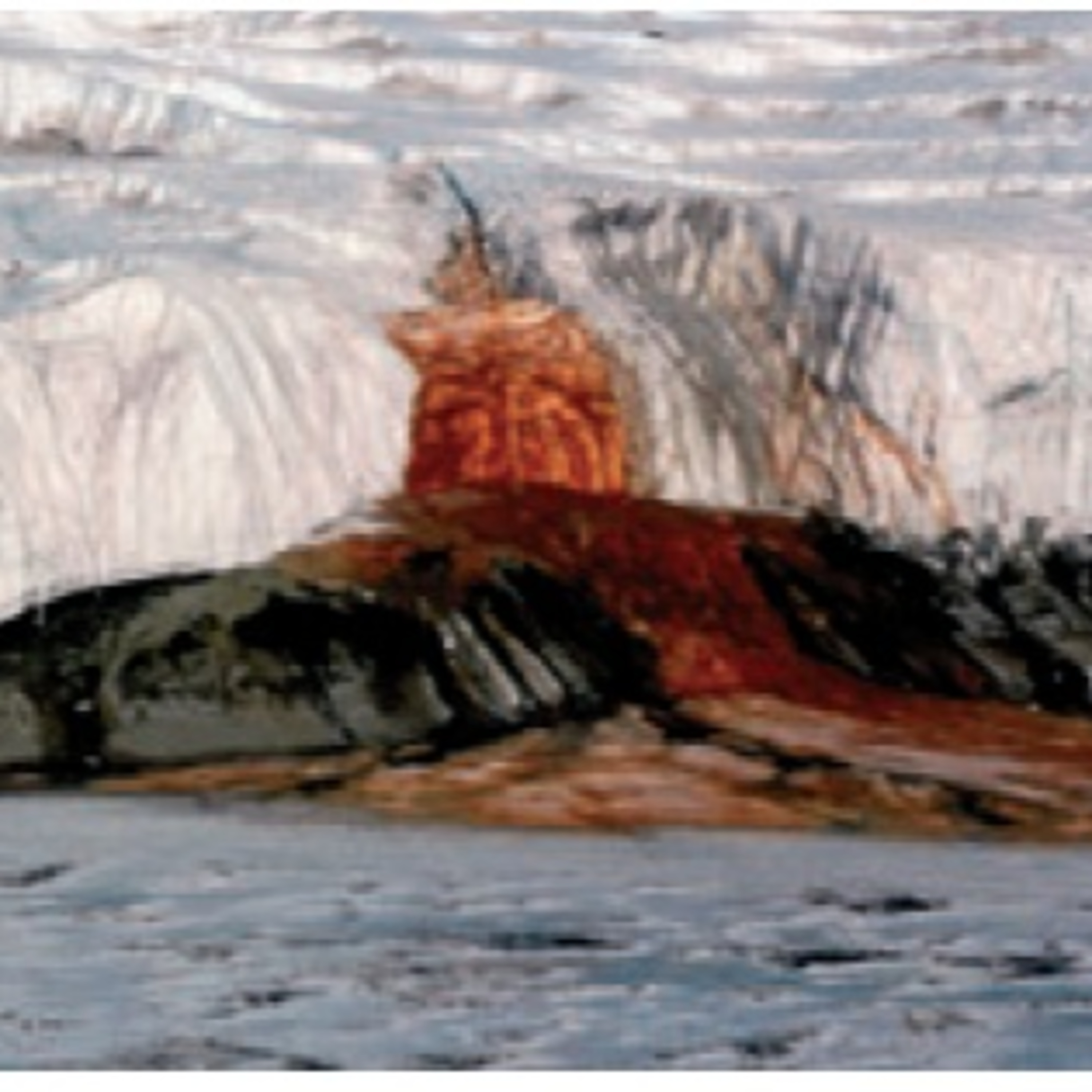 Antártica, Ártico e Mudanças Climáticas