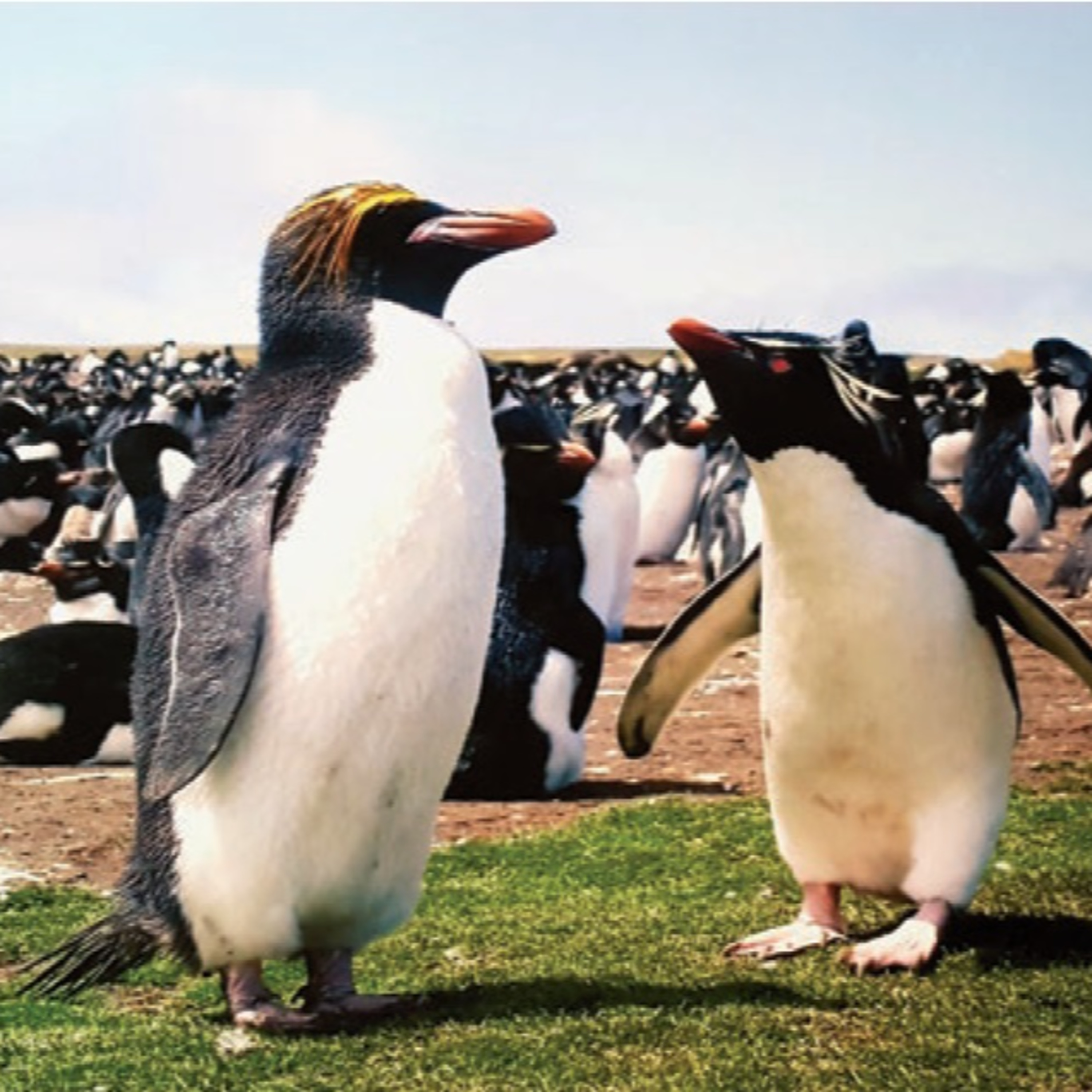 Antártica, Ártico e Mudanças Climáticas