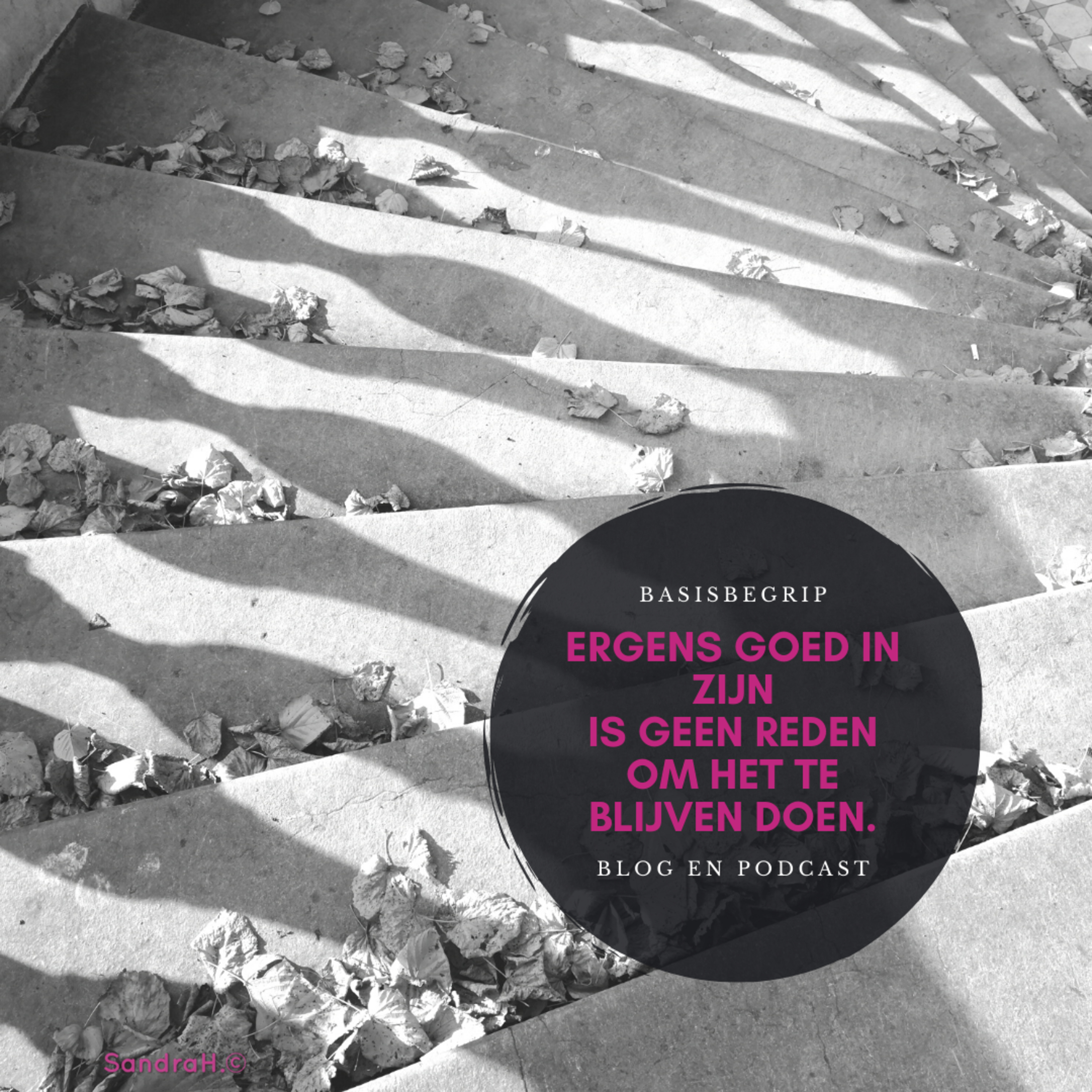 Podcast 45: 'Ergens goed in zijn is geen reden om het te blijven doen.' episode artwork
