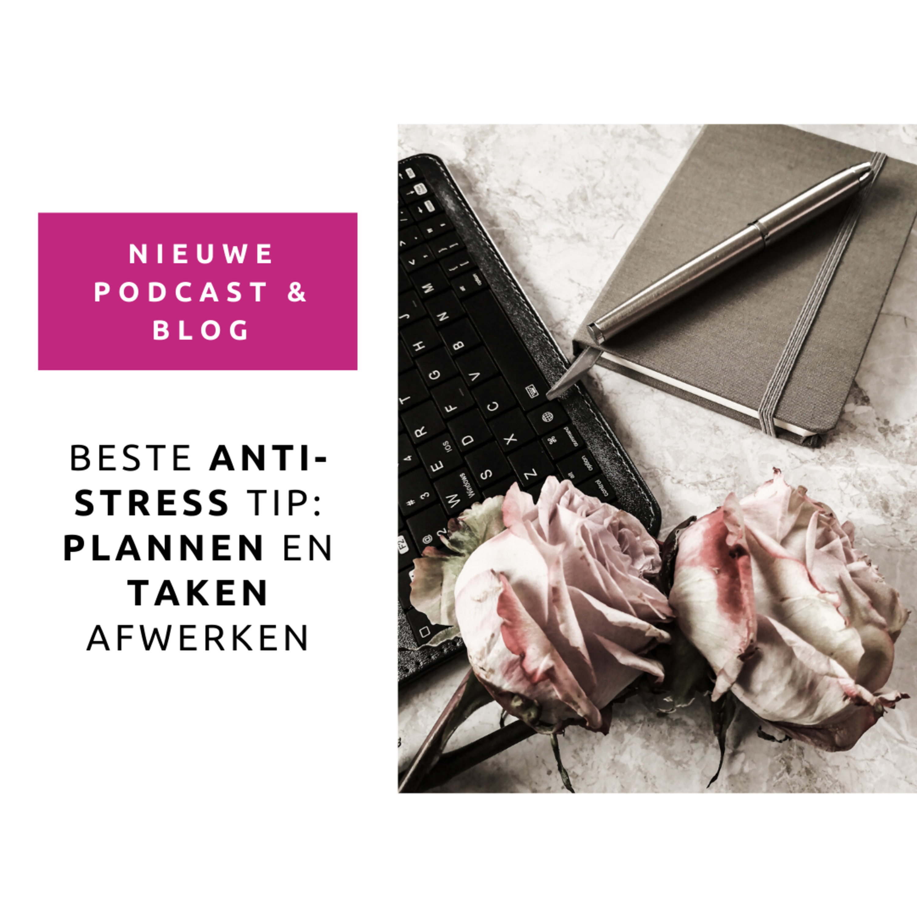 podcast 47: Beste anti-stress tip: Plannen en taken afwerken episode artwork