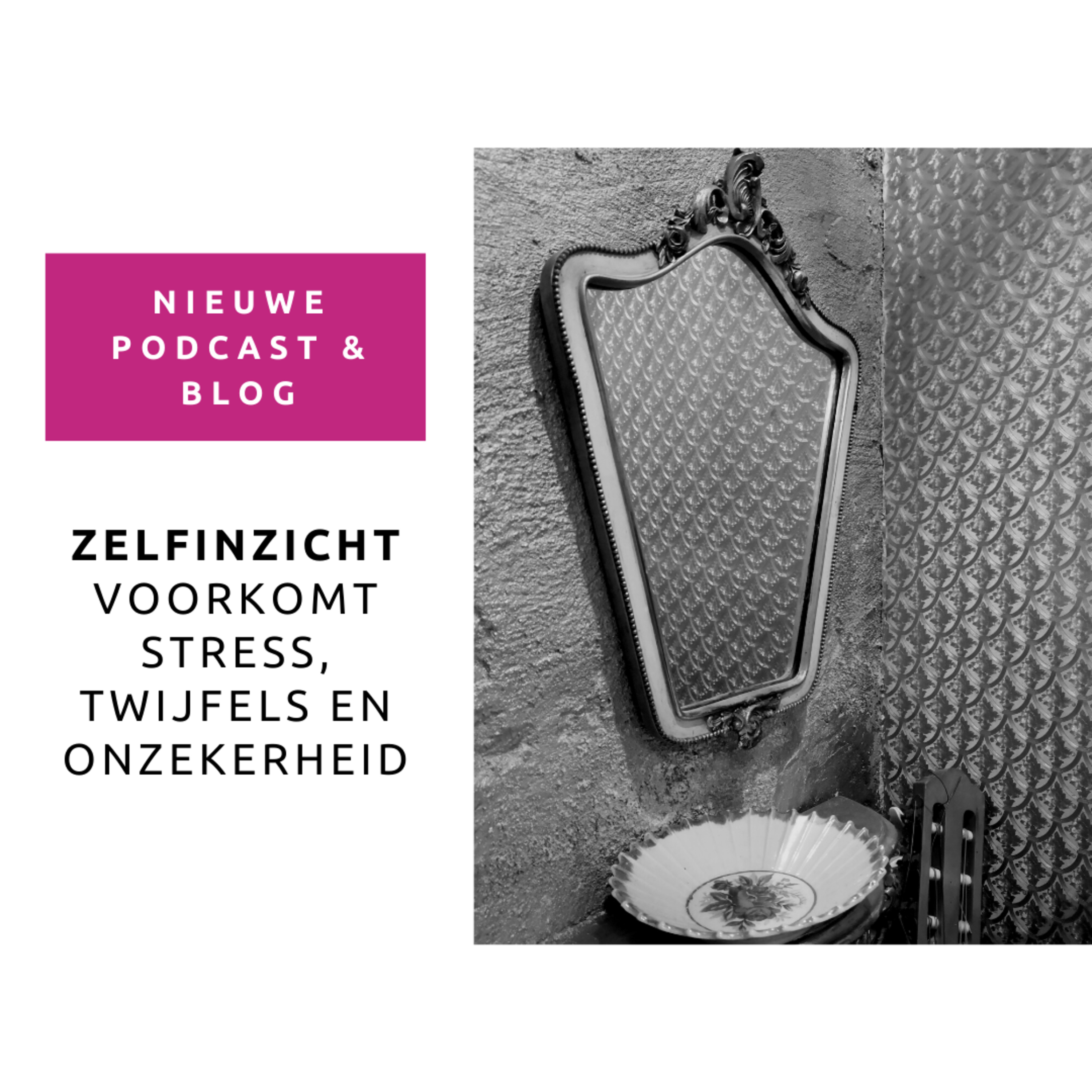 Podcast 48: Zelfinzicht voorkomt stress, twijfels en onzekerheid episode artwork