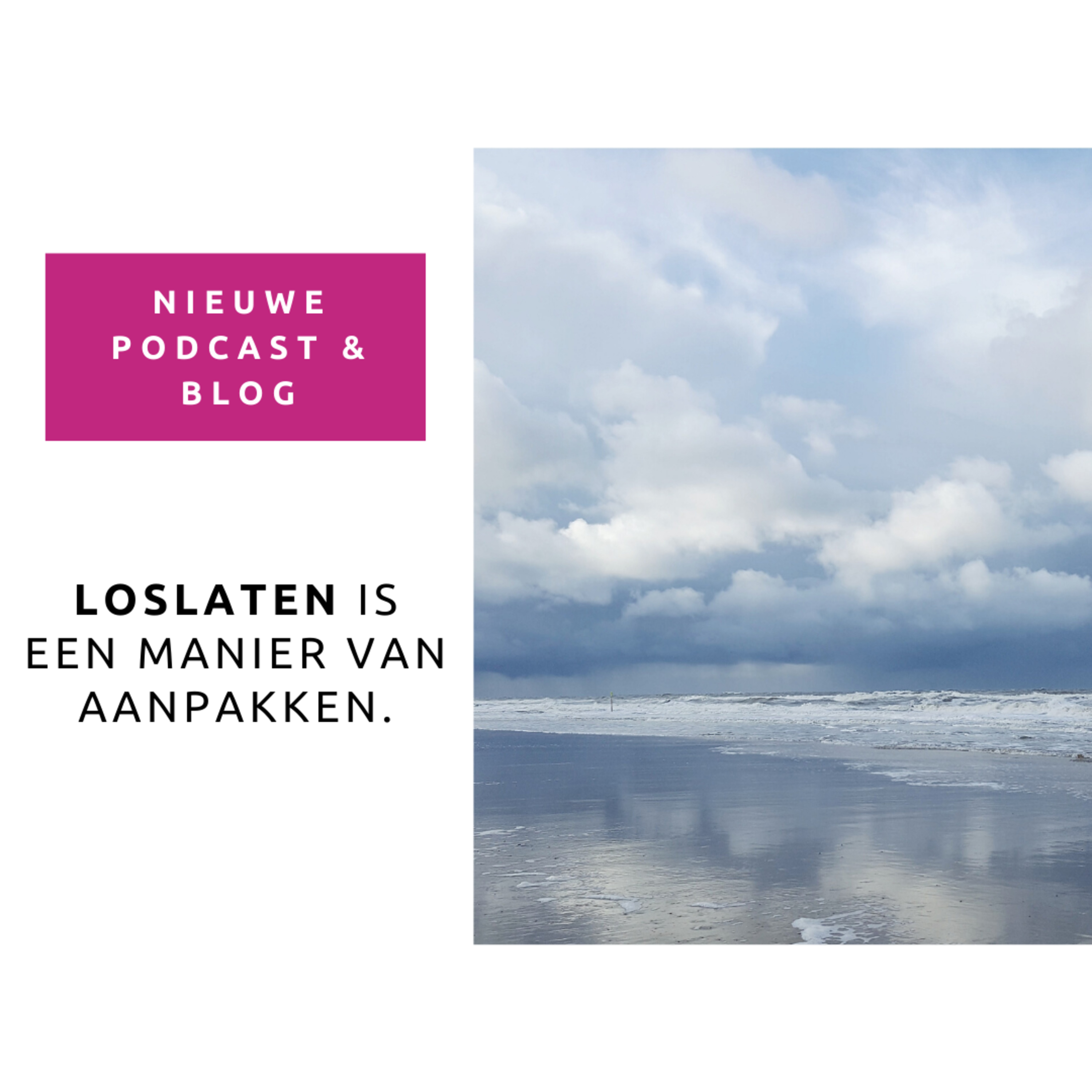 Loslaten is een manier van aanpakken episode artwork